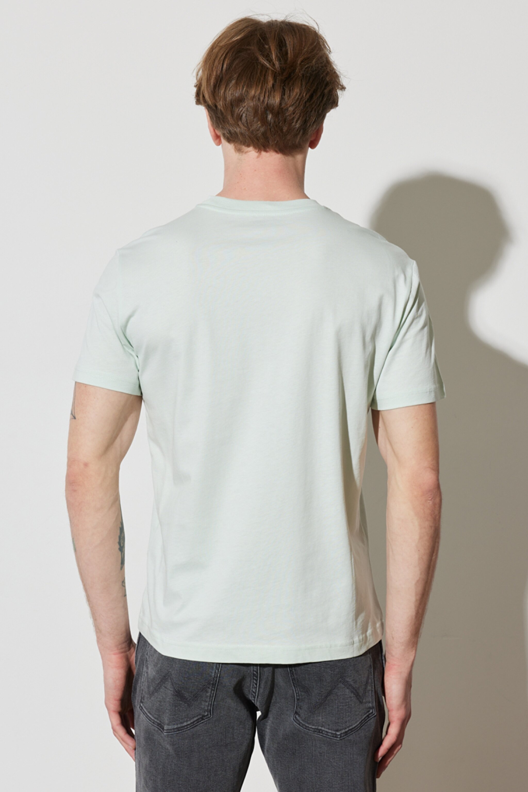 Regular Fit Normal Kesim %100 Pamuk Bisiklet Yaka Açık Yeşil Tişört - Light Blue-W231251404 (görsel 7)