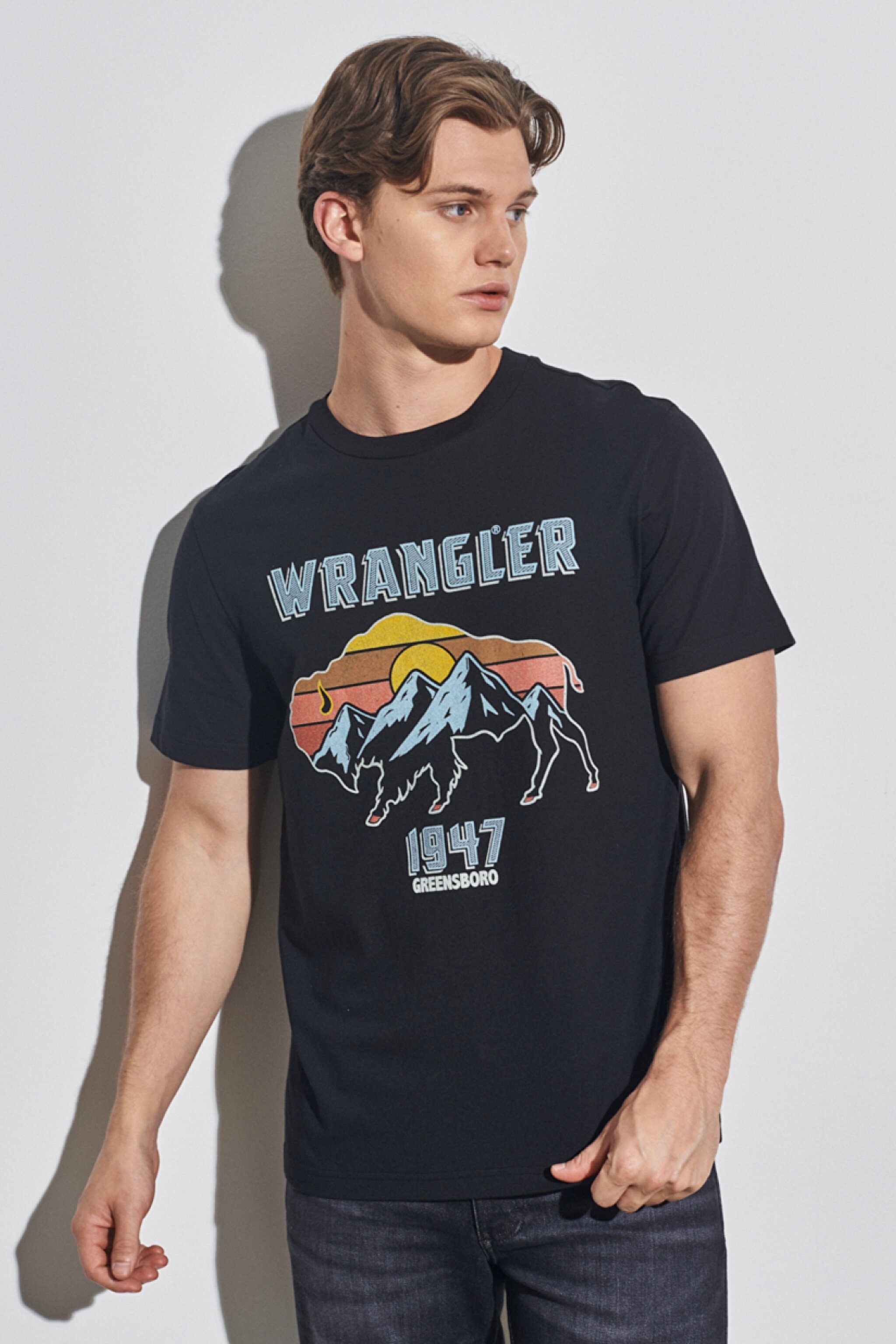 Regular Fit Normal Kesim %100 Pamuk Bisiklet Yaka Siyah Tişört - Black-W231254001 (görsel 2)