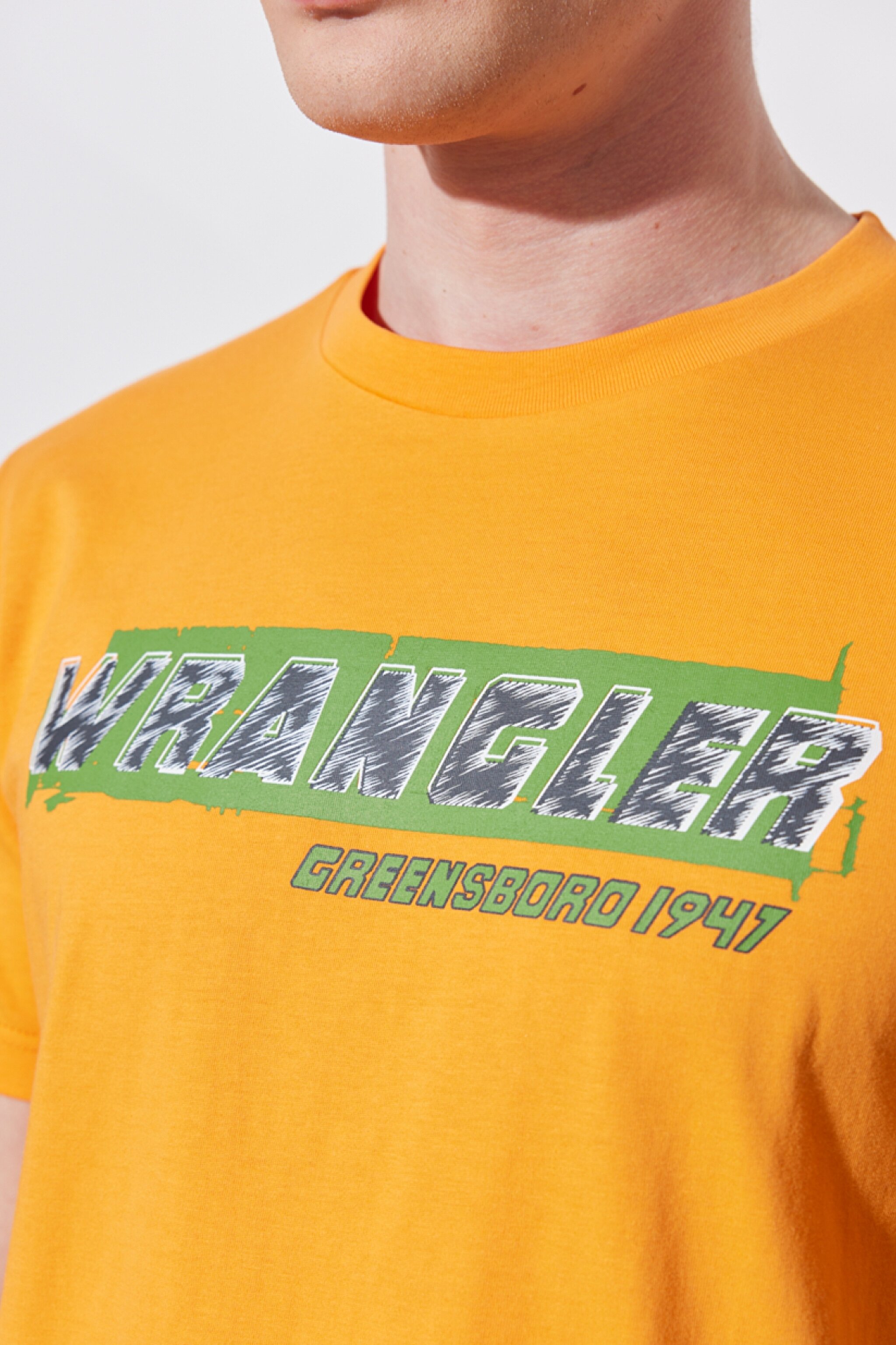 Regular Fit Normal Kesim %100 Pamuk Bisiklet Yaka Turuncu Tişört - Orange-W231257700 (görsel 5)