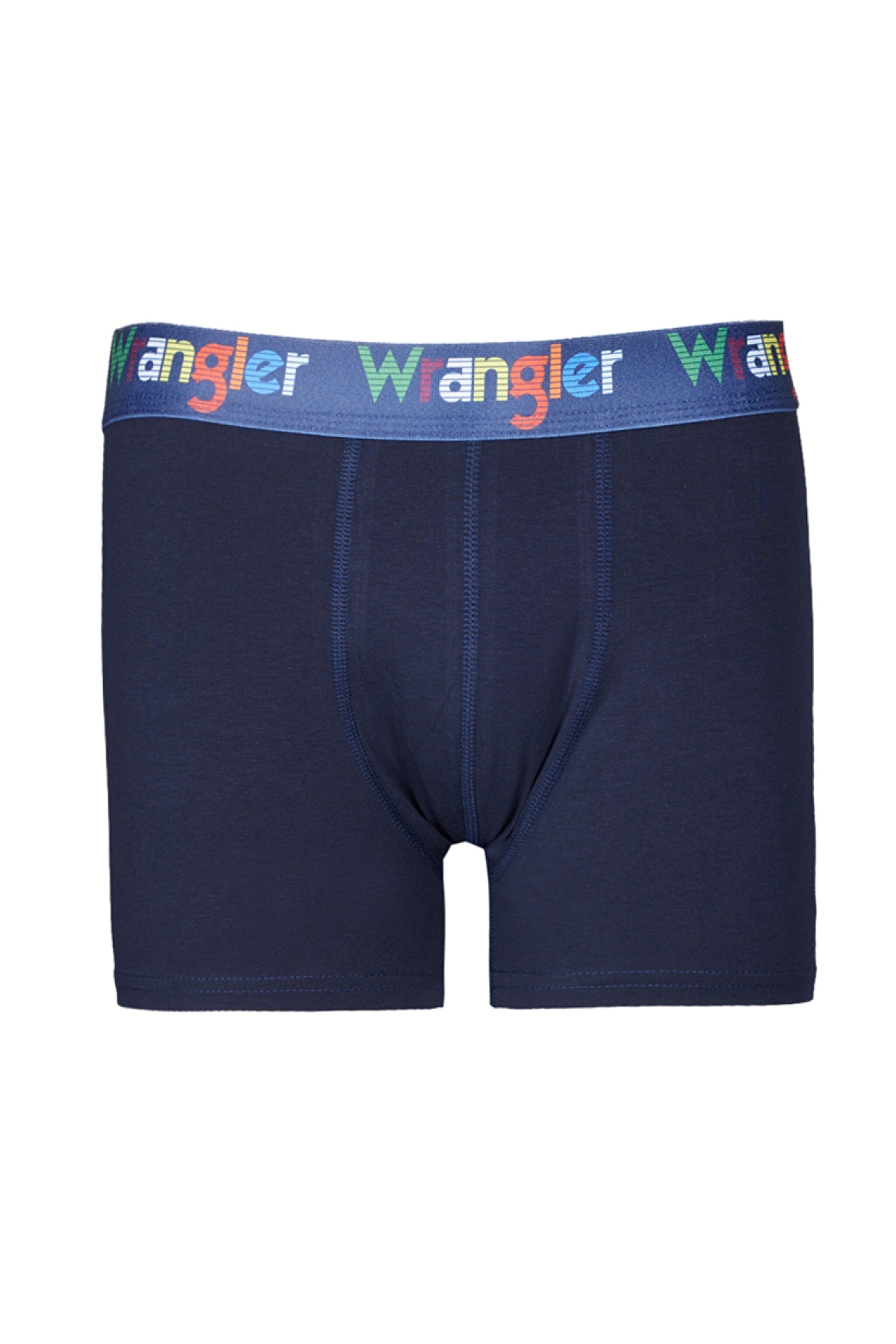 Regular Fit Normal Kesim Lacivert Tekli Boxer