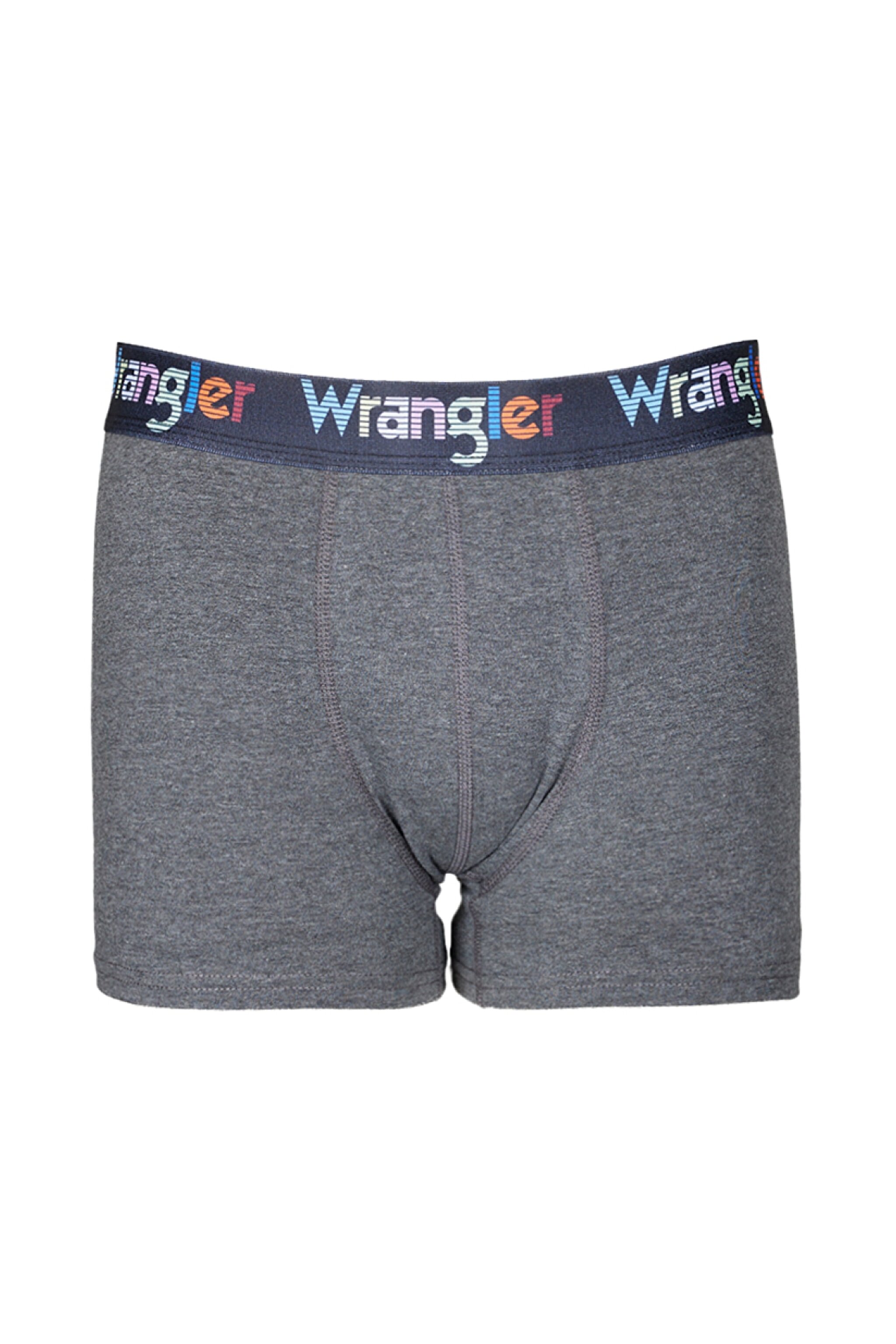 Regular Fit Normal Kesim Antrasit Boxer - Anthracite-W231758003