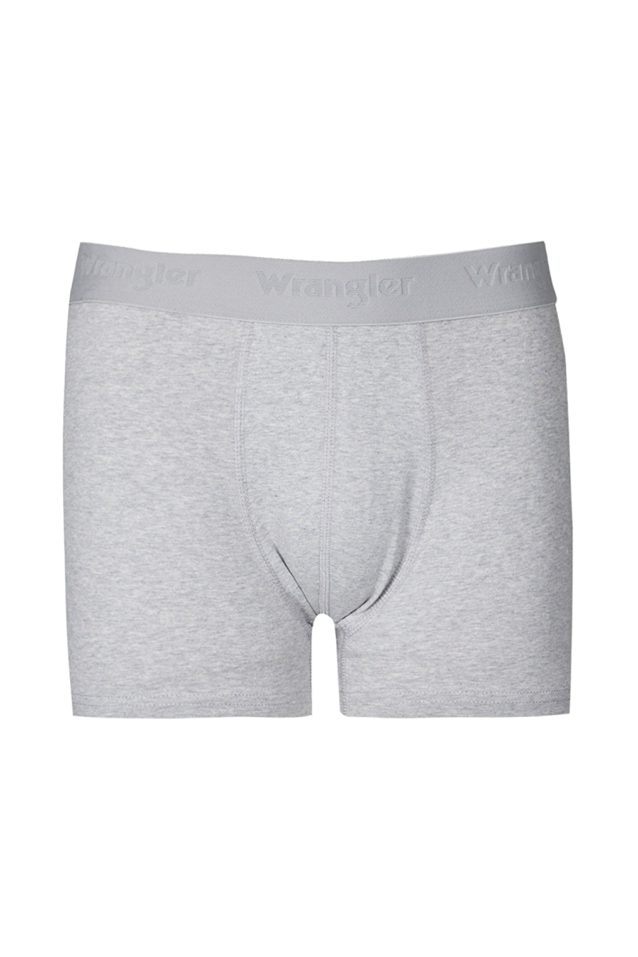Regular Fit Normal Kesim Gri Tekli Boxer - Gray-W231762035