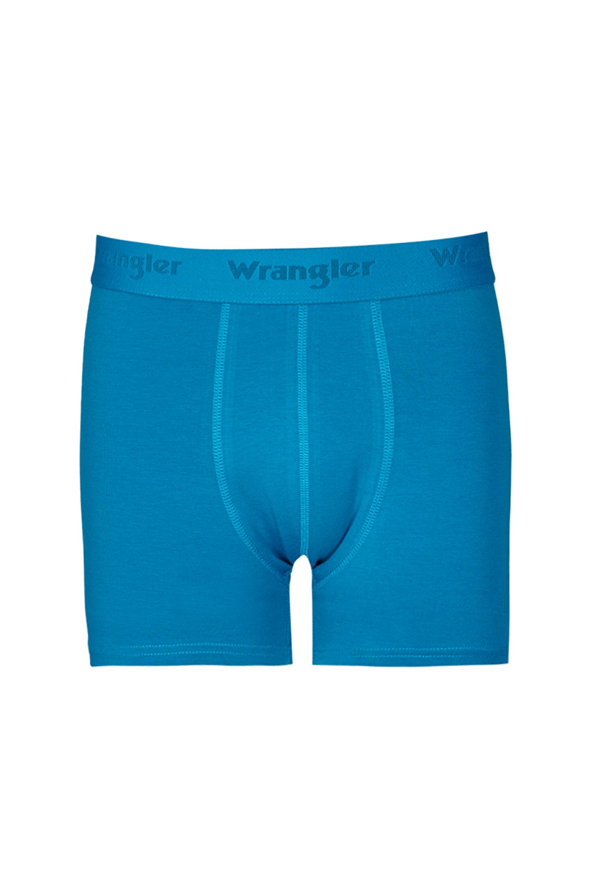Regular Fit Normal Kesim Mavi Tekli Boxer - Blue-W231764400
