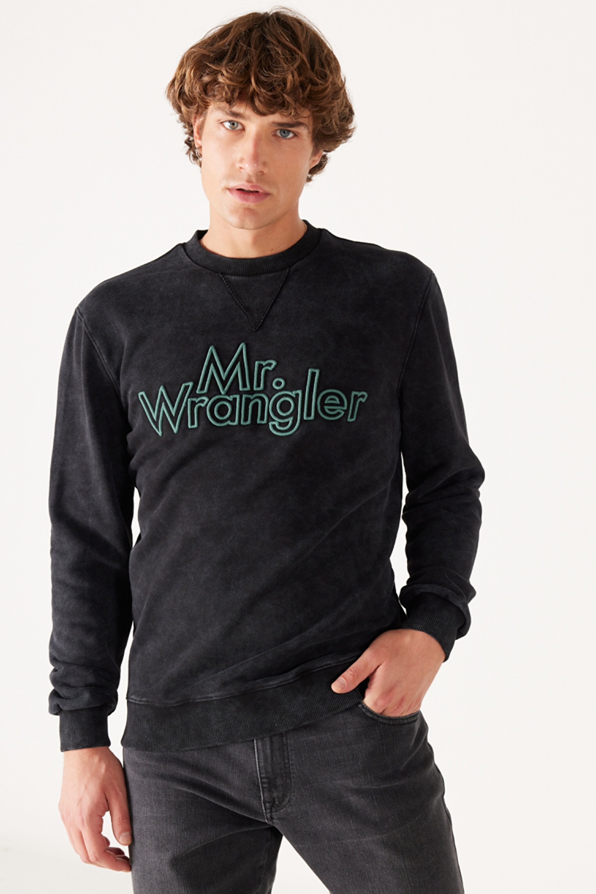 Regular Fit Normal Kesim %100 Pamuk Bisiklet Yaka Siyah Sweatshirt - Black-W232249001 (görsel 2)