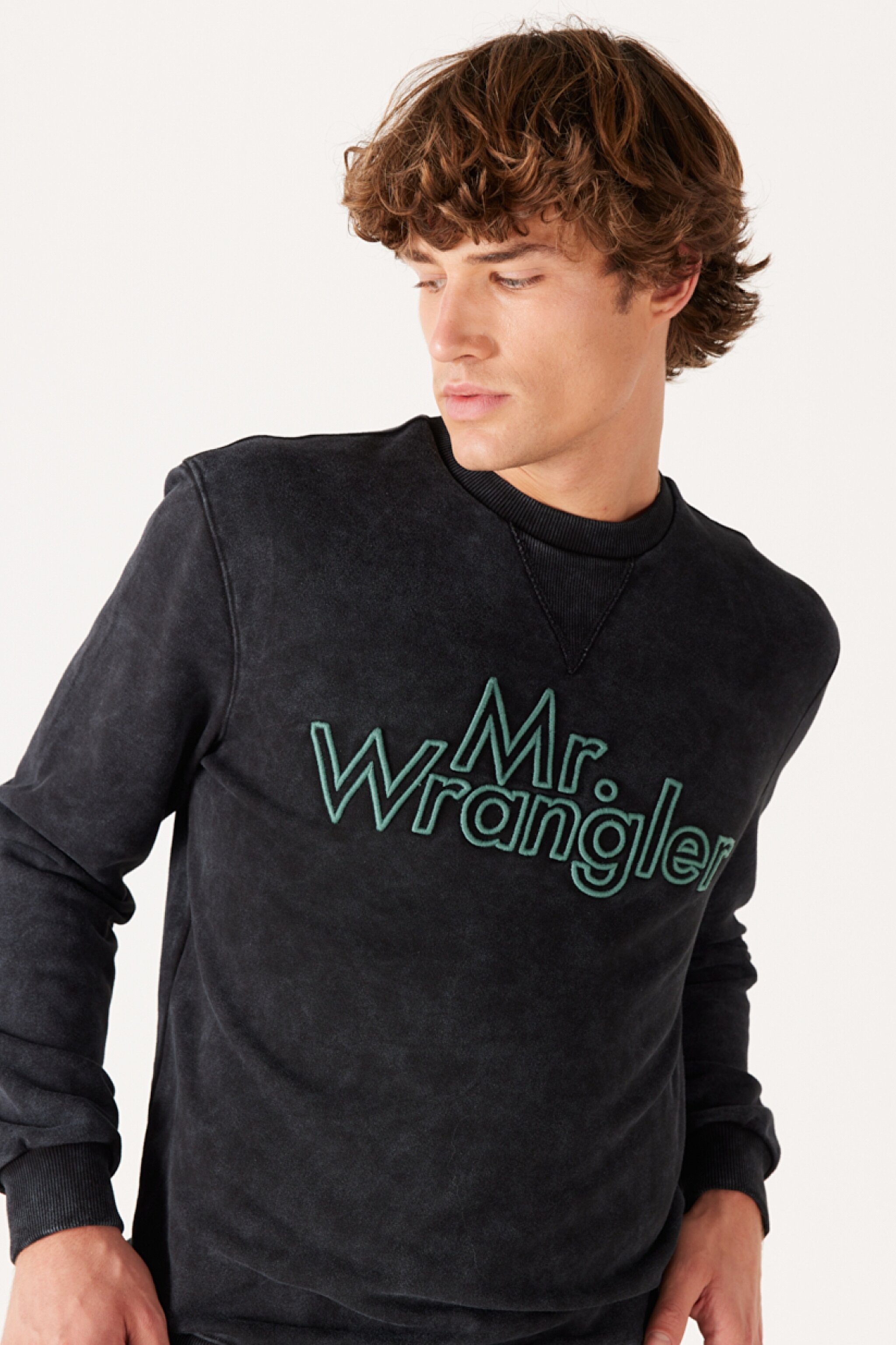 Regular Fit Normal Kesim %100 Pamuk Bisiklet Yaka Siyah Sweatshirt - Black-W232249001 (görsel 4)