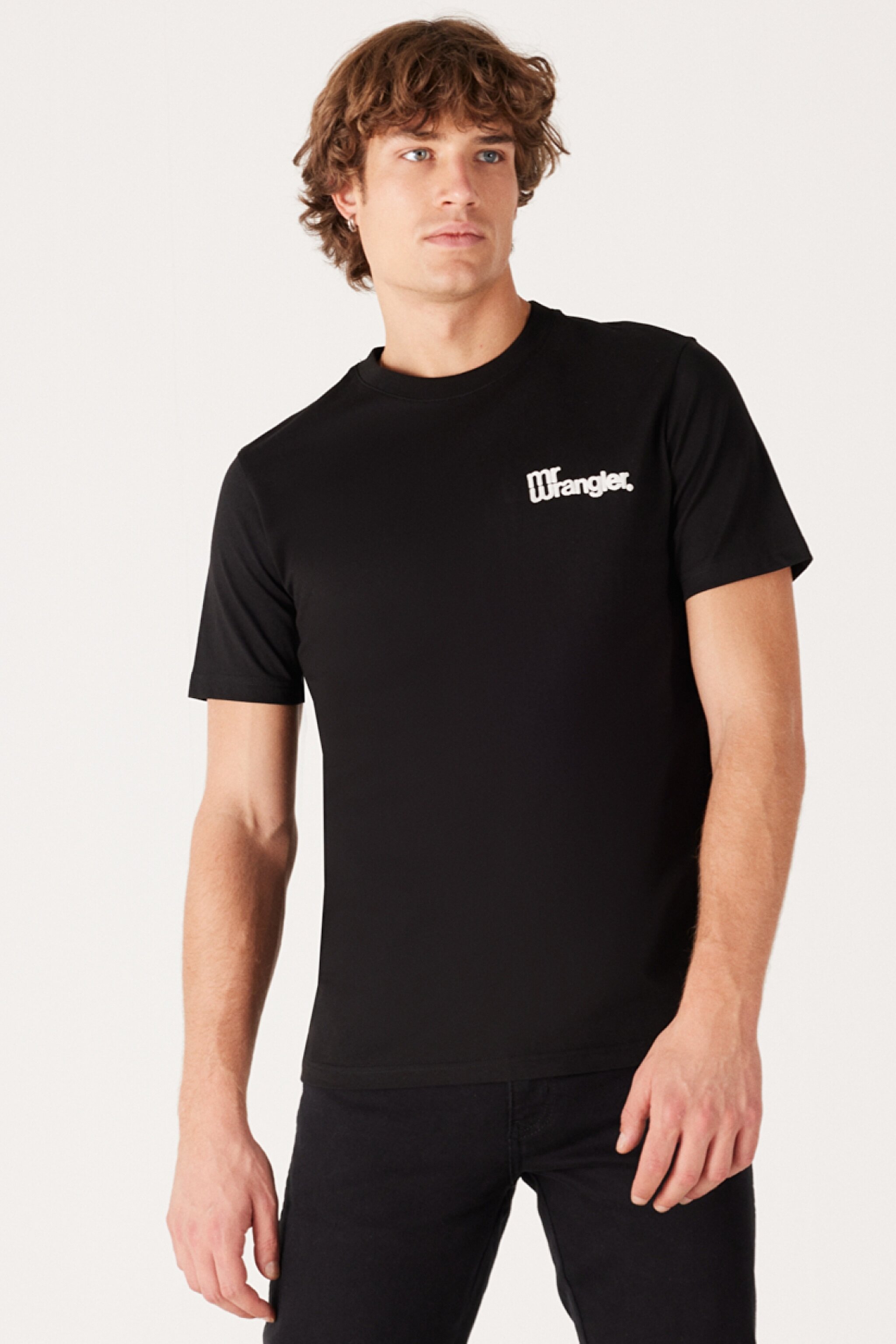 Regular Fit Normal Kesim %100 Pamuk Bisiklet Yaka Sırt Baskılı Siyah Tişört - Black-W232263001 (görsel 4)