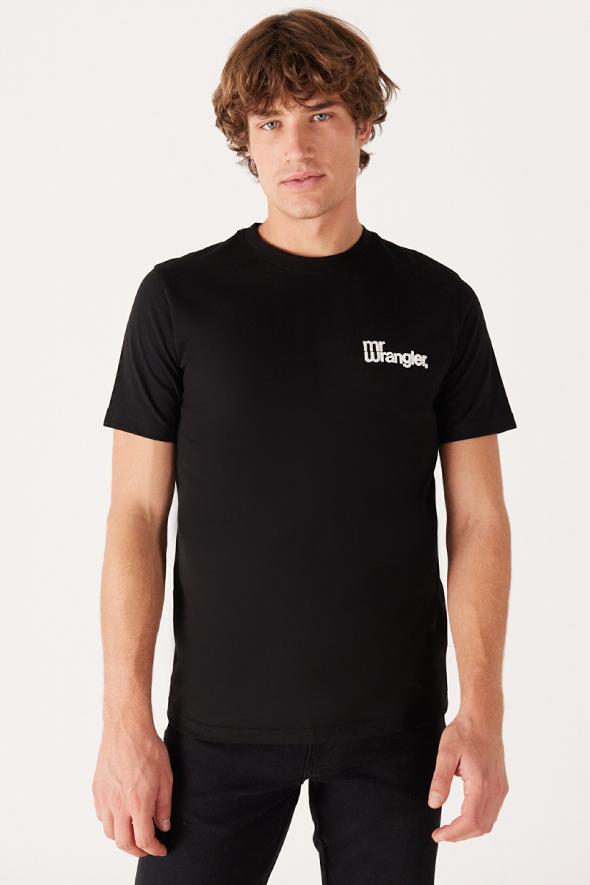Regular Fit Normal Kesim %100 Pamuk Bisiklet Yaka Sırt Baskılı Siyah Tişört - Black-W232263001 (görsel 5)