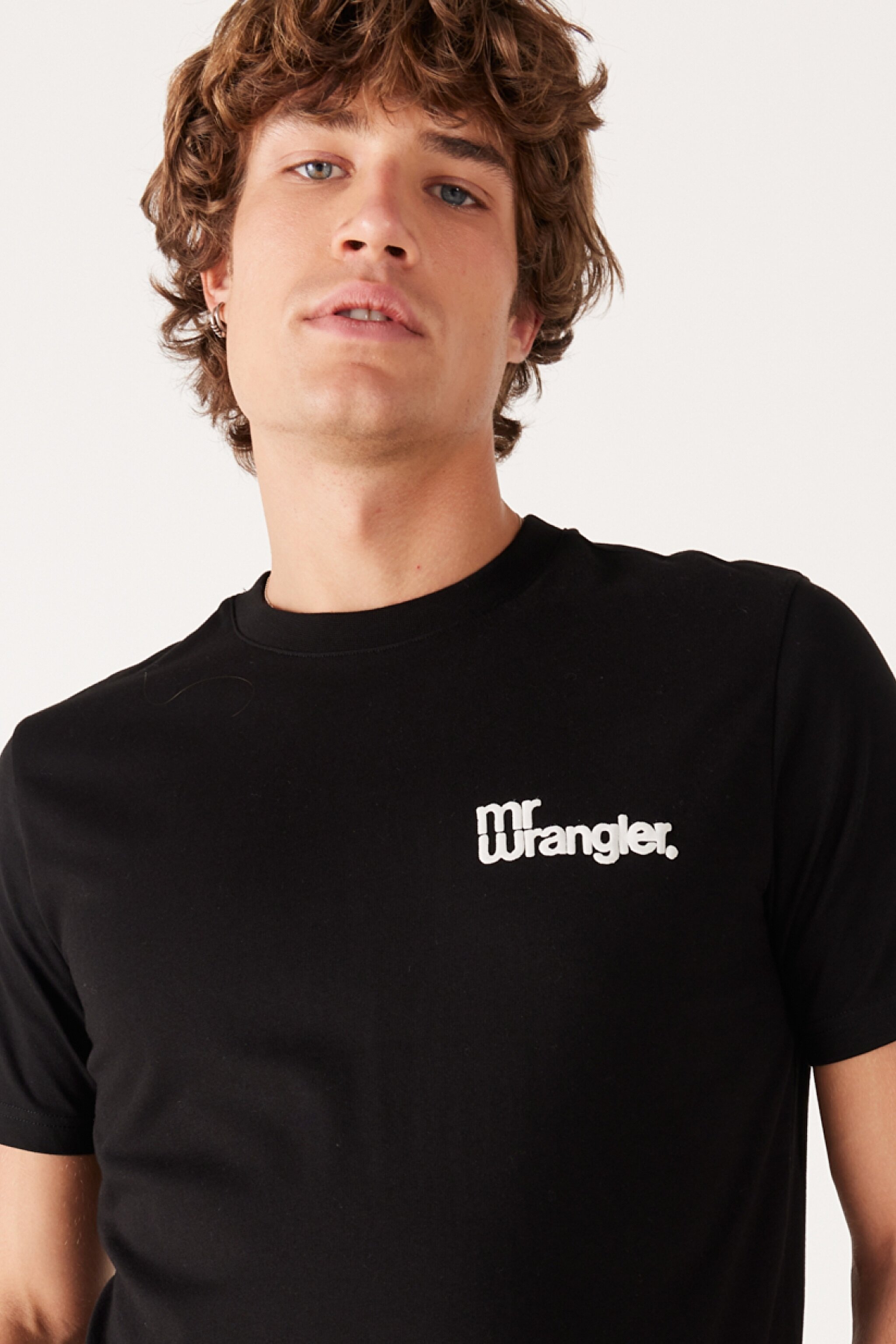 Regular Fit Normal Kesim %100 Pamuk Bisiklet Yaka Sırt Baskılı Siyah Tişört - Black-W232263001 (görsel 6)