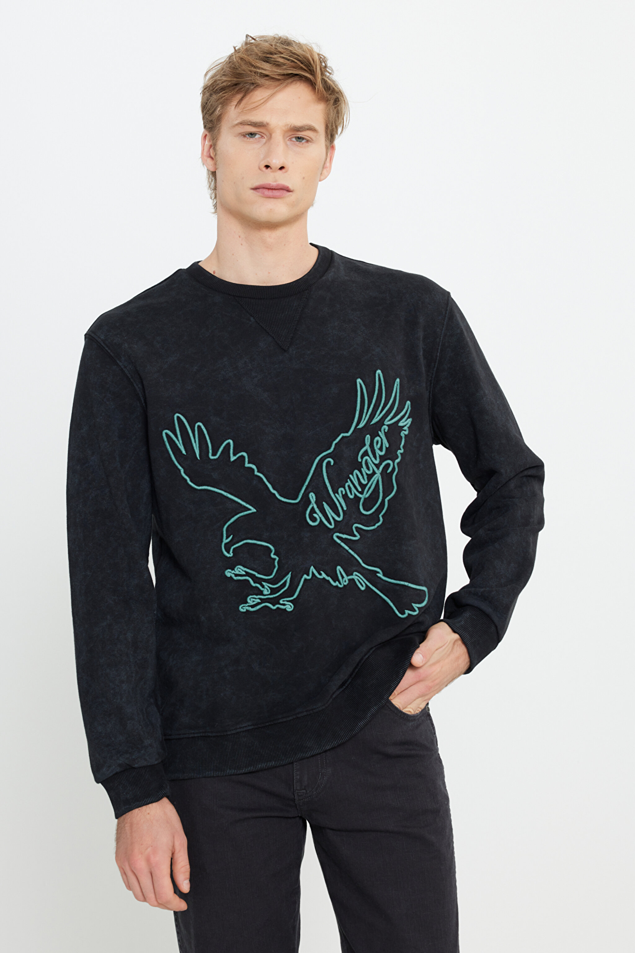 Regular Fit Normal Kesim Bisiklet Yaka Siyah Sweatshirt - Black-W232265001
