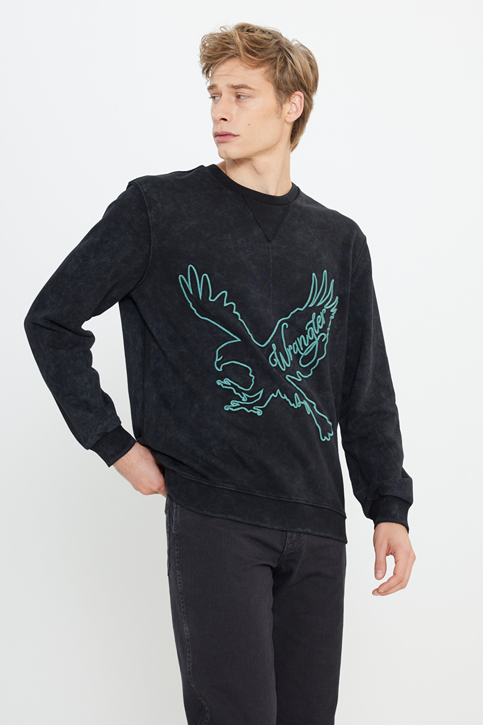 Regular Fit Normal Kesim Bisiklet Yaka Siyah Sweatshirt - Black-W232265001 (görsel 2)