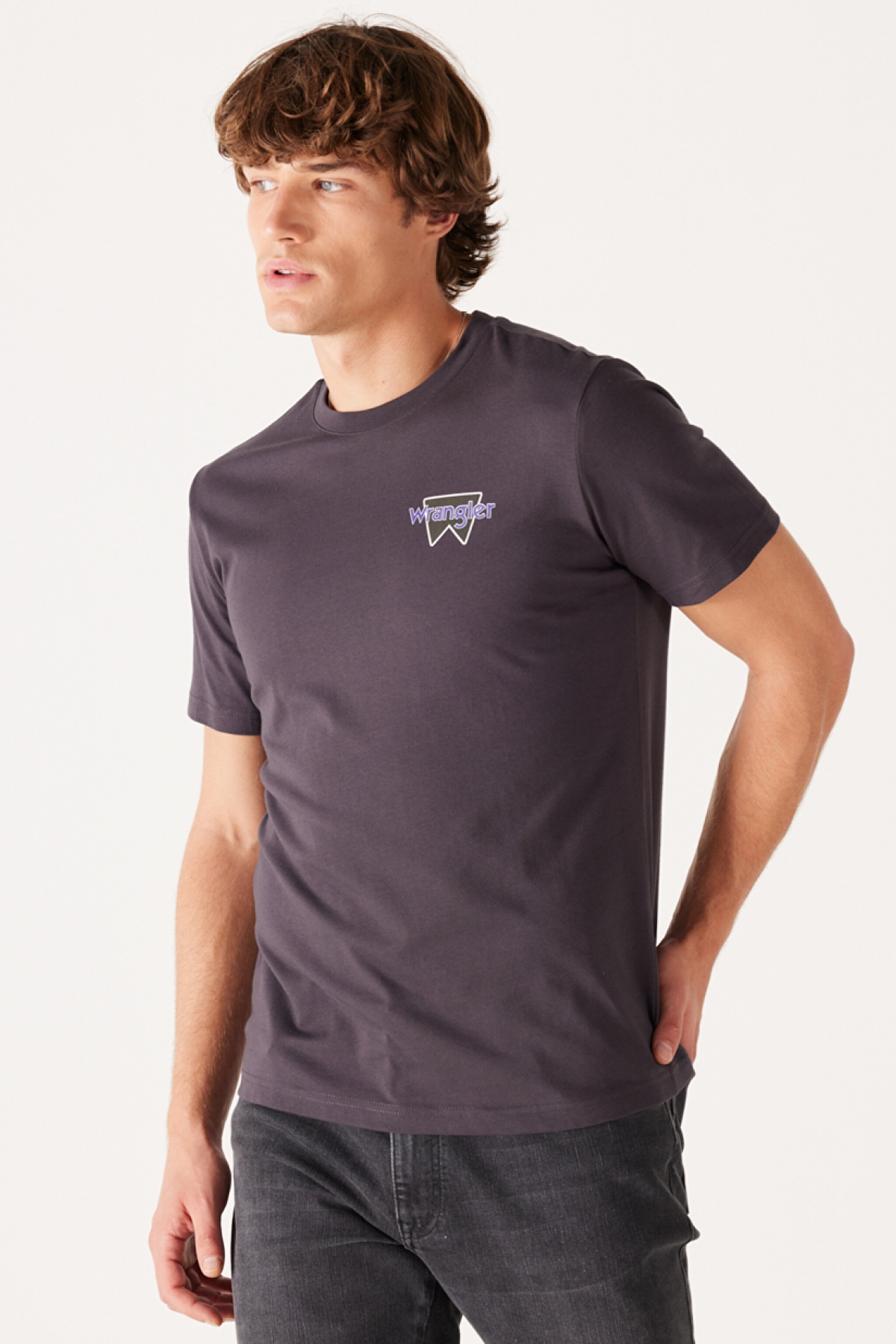 Regular Fit Normal Kesim %100 Pamuk Bisiklet Yaka Sırt Baskılı Antrasit Tişört - Anthracite-W232285003 (görsel 2)