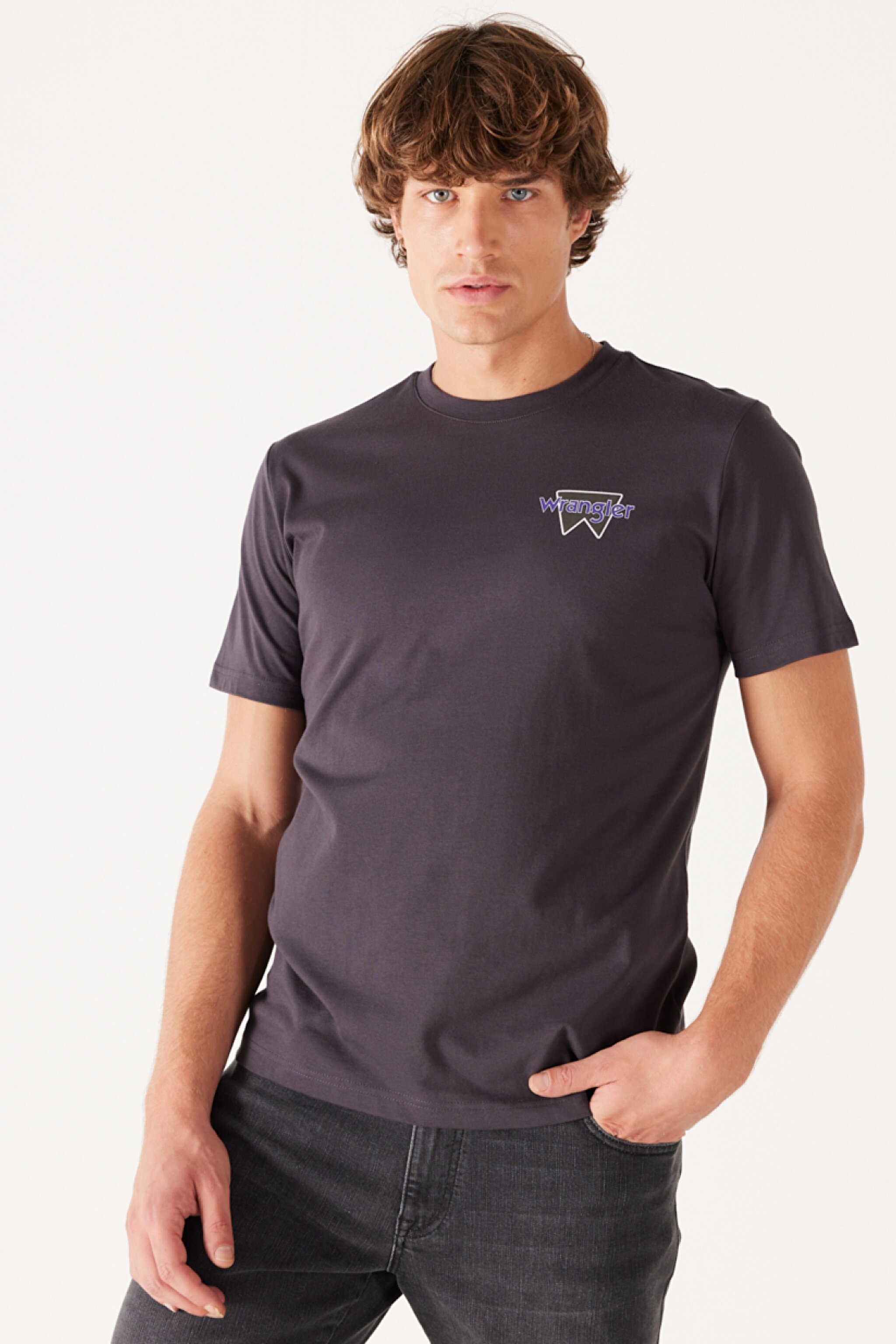 Regular Fit Normal Kesim %100 Pamuk Bisiklet Yaka Sırt Baskılı Antrasit Tişört - Anthracite-W232285003 (görsel 3)