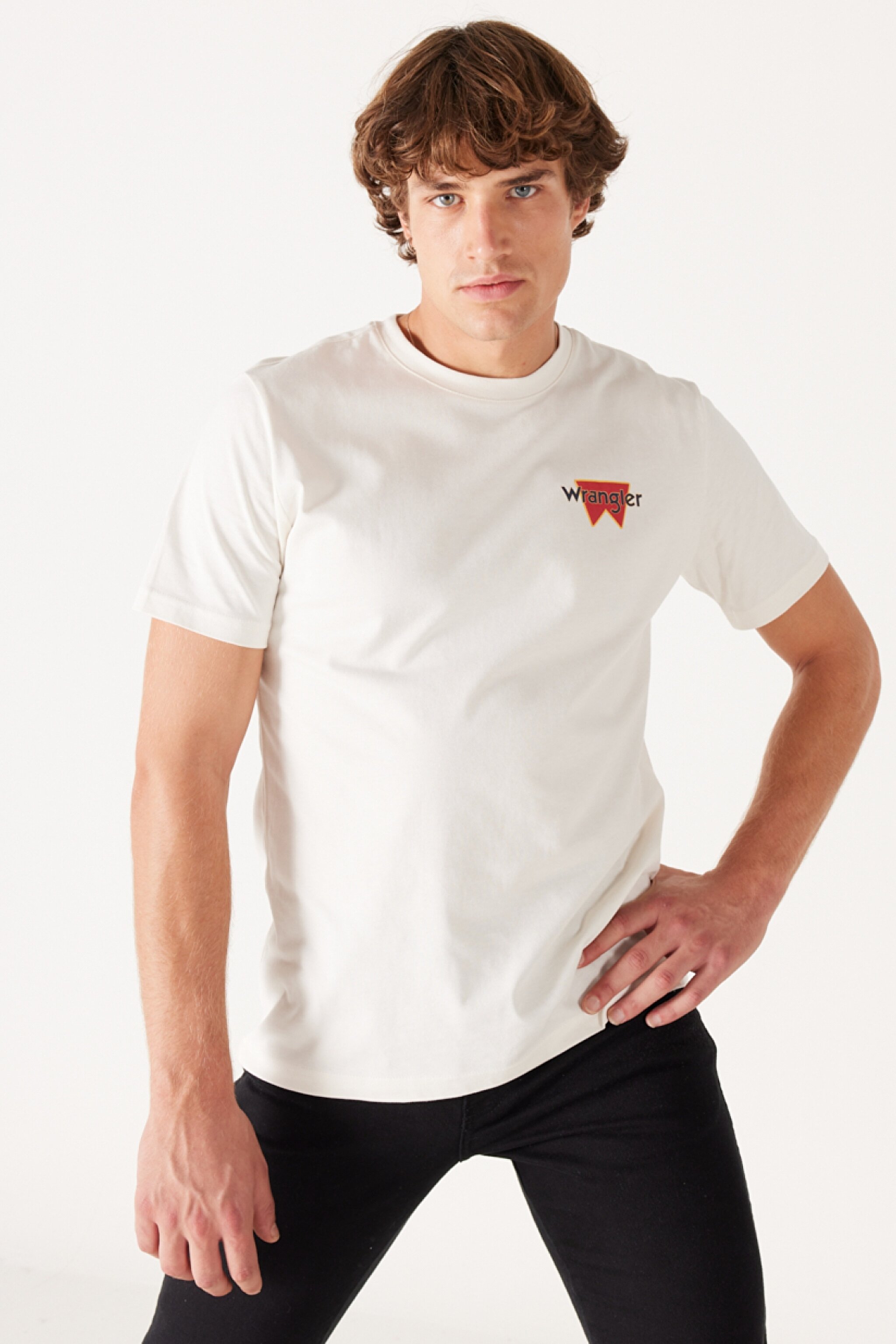 Regular Fit Normal Kesim %100 Pamuk Bisiklet Yaka Sırt Baskılı Kırık Beyaz Tişört - Off White-W232285102 (görsel 3)