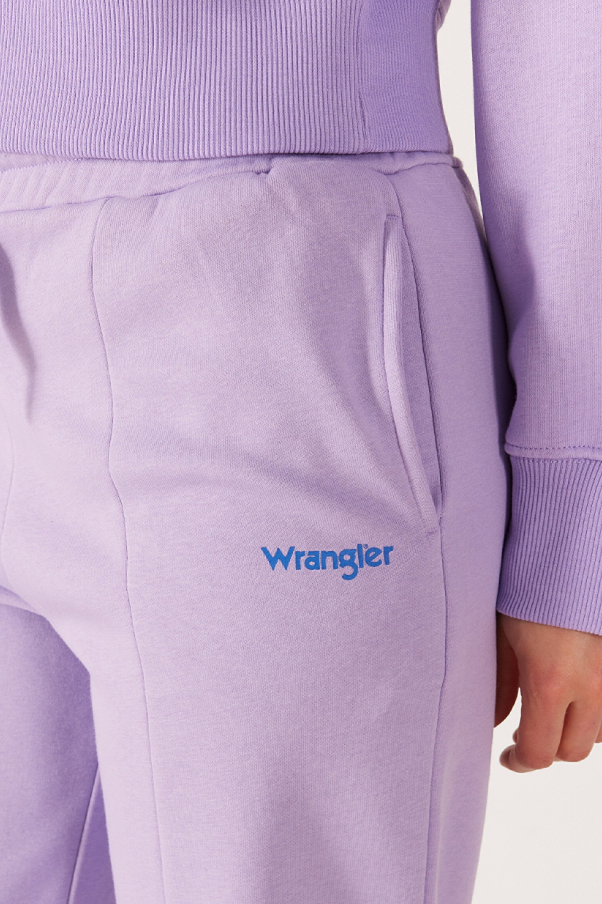 Regular Fit Normal Kesim İçi Polarlı Cepli Lila Jogger Eşofman Altı - Light Lilac-W232349816 (görsel 6)