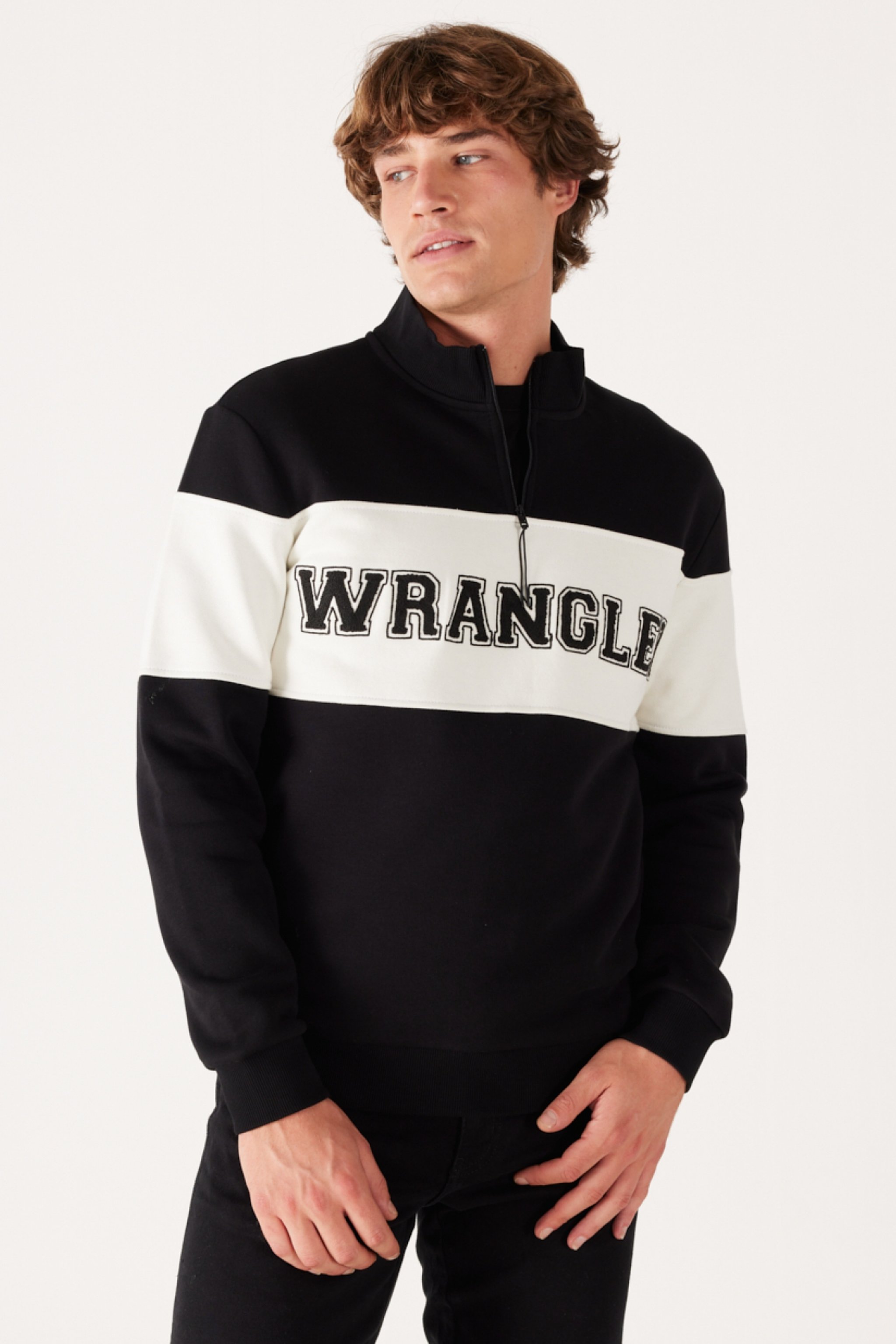 Regular Fit Normal Kesim %100 Pamuk İçi Polarlı Dik Yaka Siyah Sweatshirt - Black-W232526001 (görsel 2)
