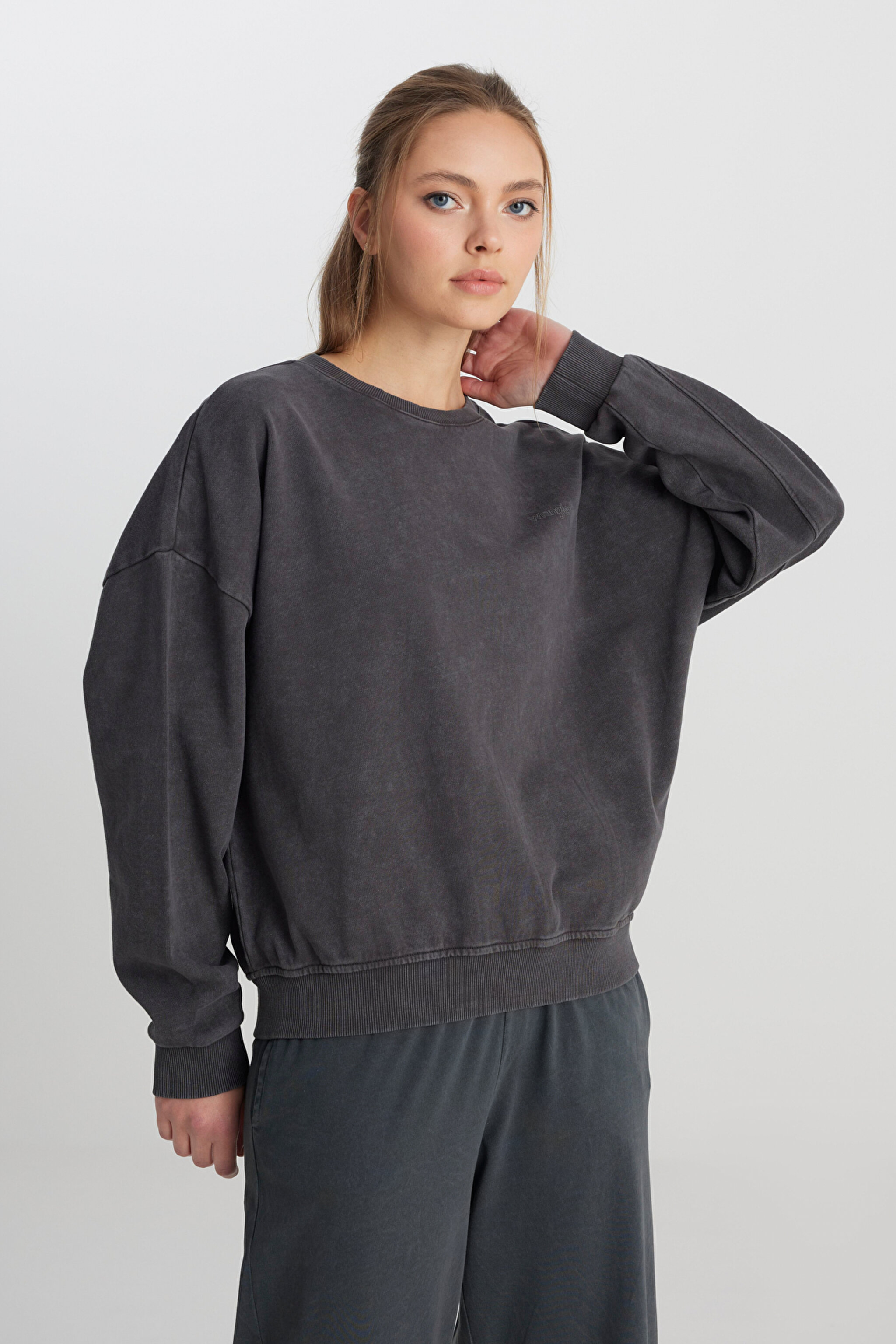 Relaxed Fit Geniş Kesim Bisiklet Yaka %100 Pamuk Antrasit Sweatshirt - Anthracite-W241234003 (görsel 4)