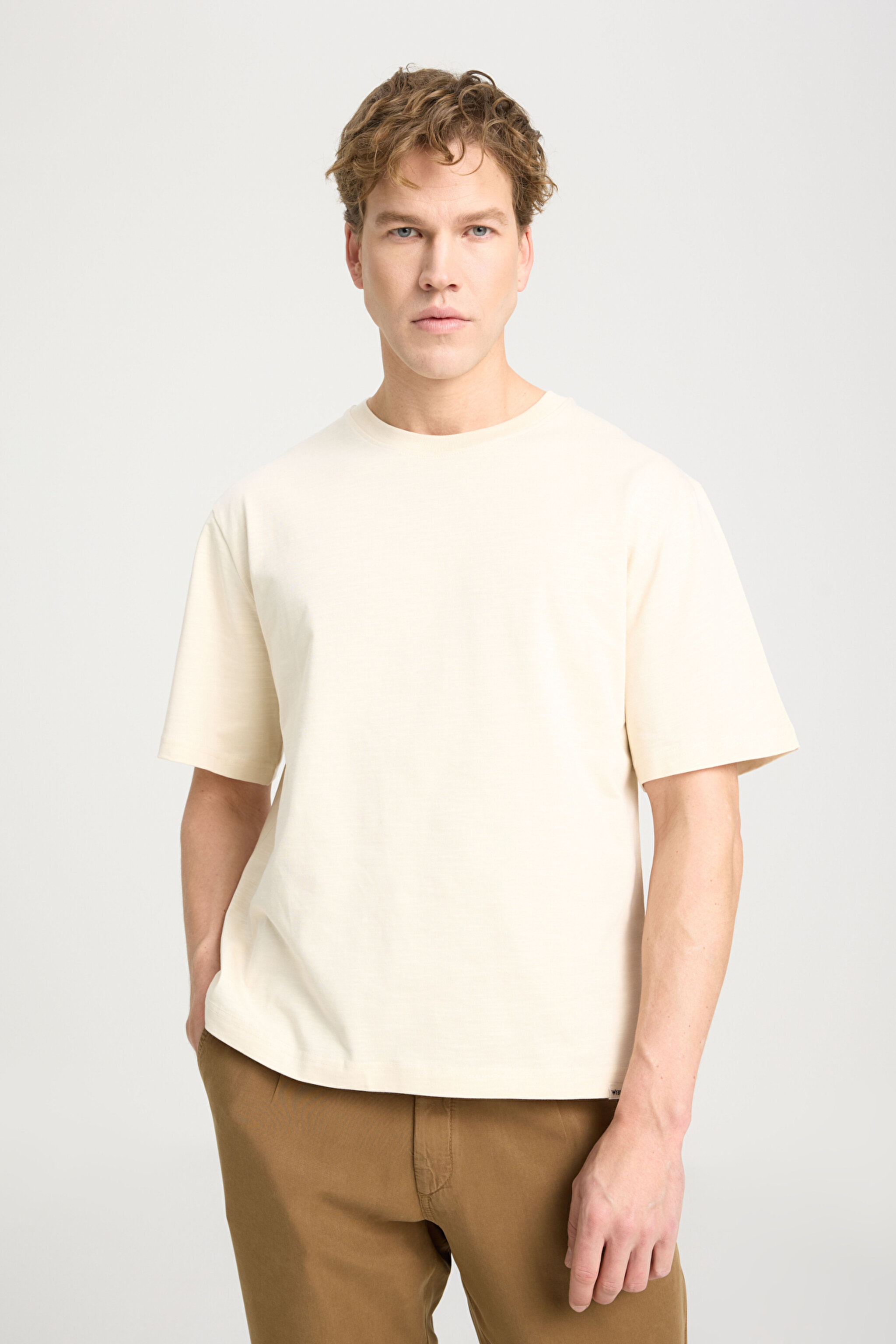 Regular Fit Normal Kesim Bisiklet Yaka %100 Pamuk Bej Tişört - Beige-W241556614