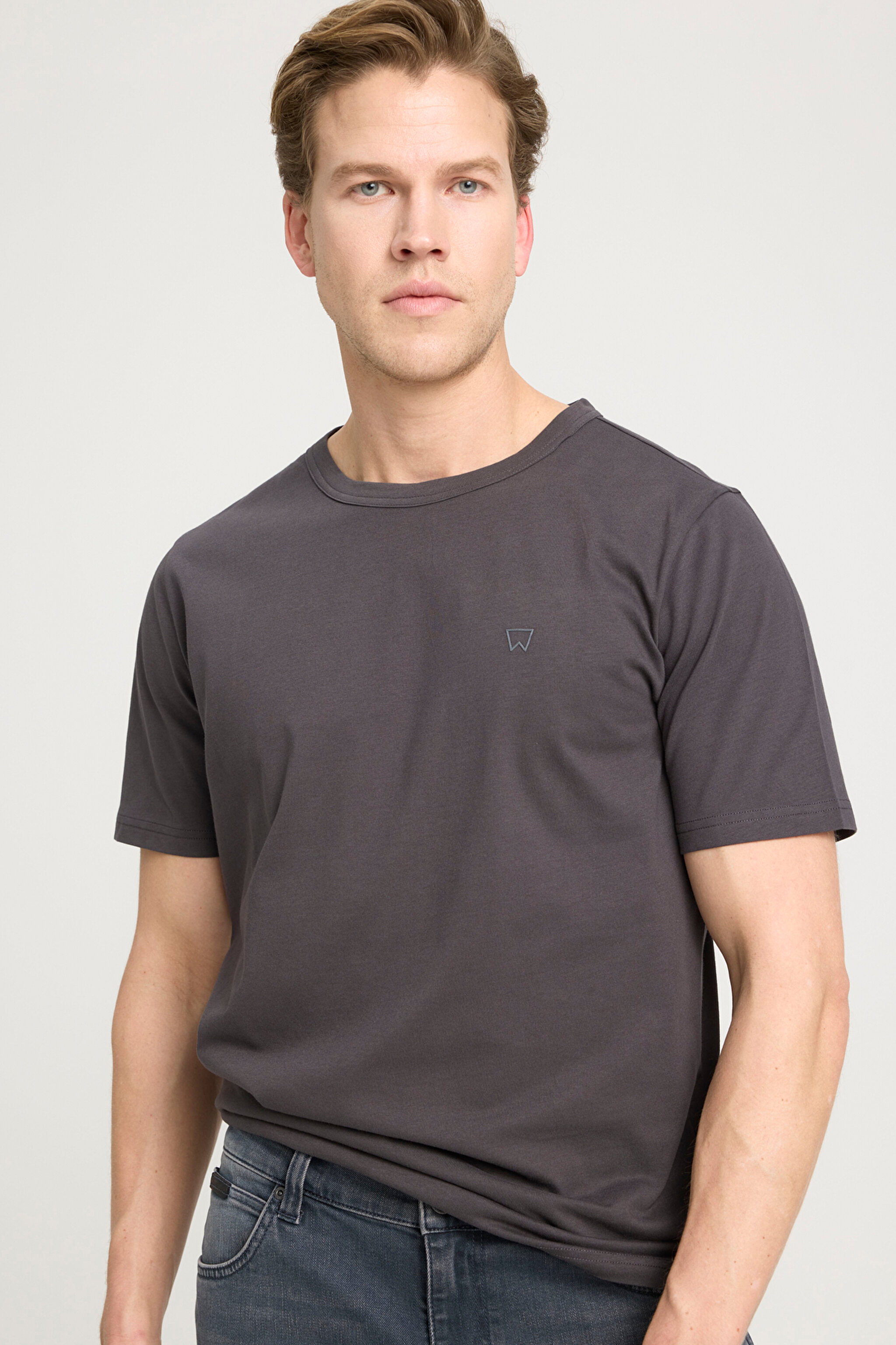 Regular Fit Normal Kesim Bisiklet Yaka %100 Pamuk Antrasit Tişört - Anthracite-W241575003