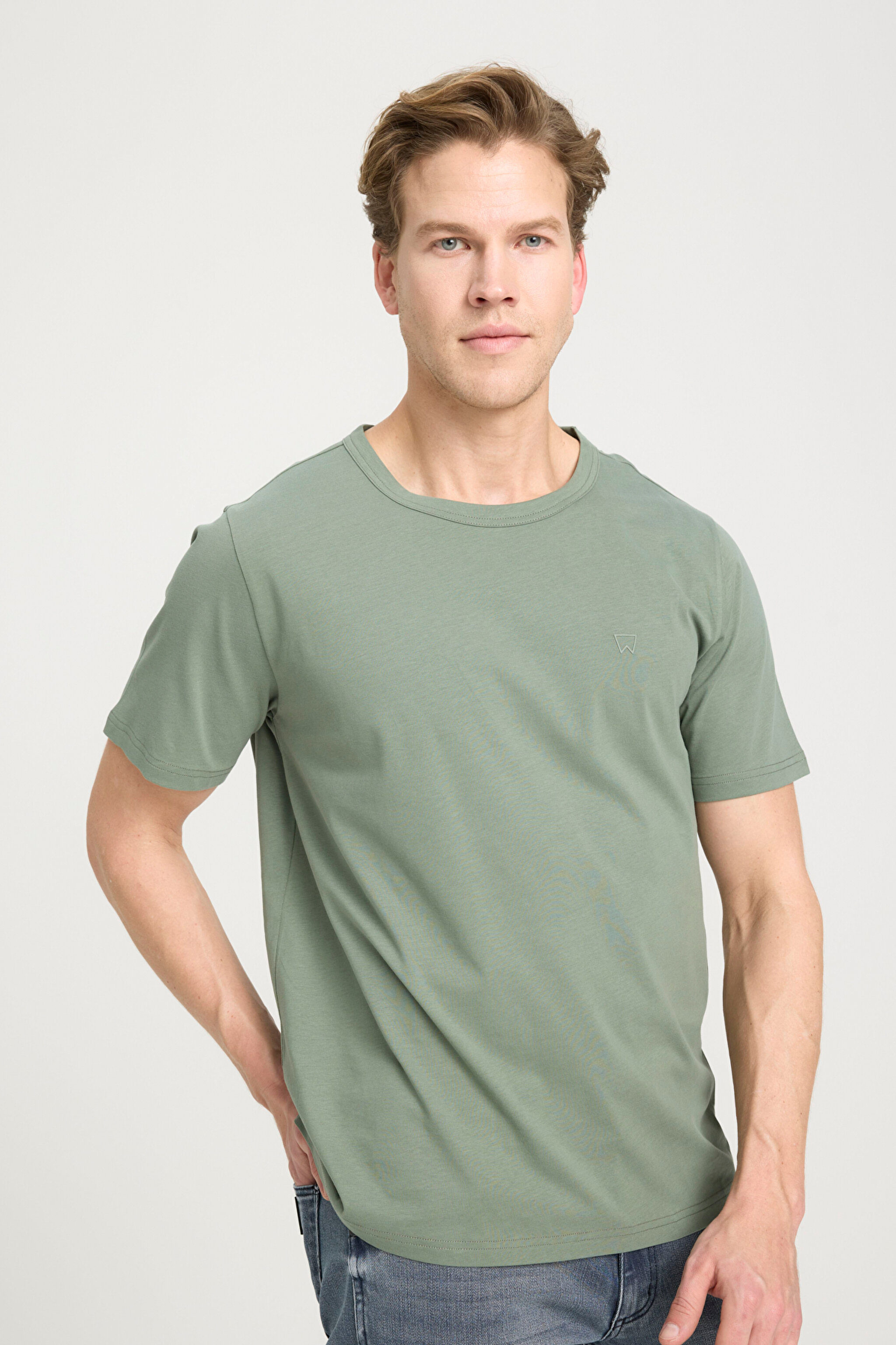 Regular Fit Normal Kesim Bisiklet Yaka %100 Pamuk Zeytin Yeşili Tişört - Dusty Olive-W241575275