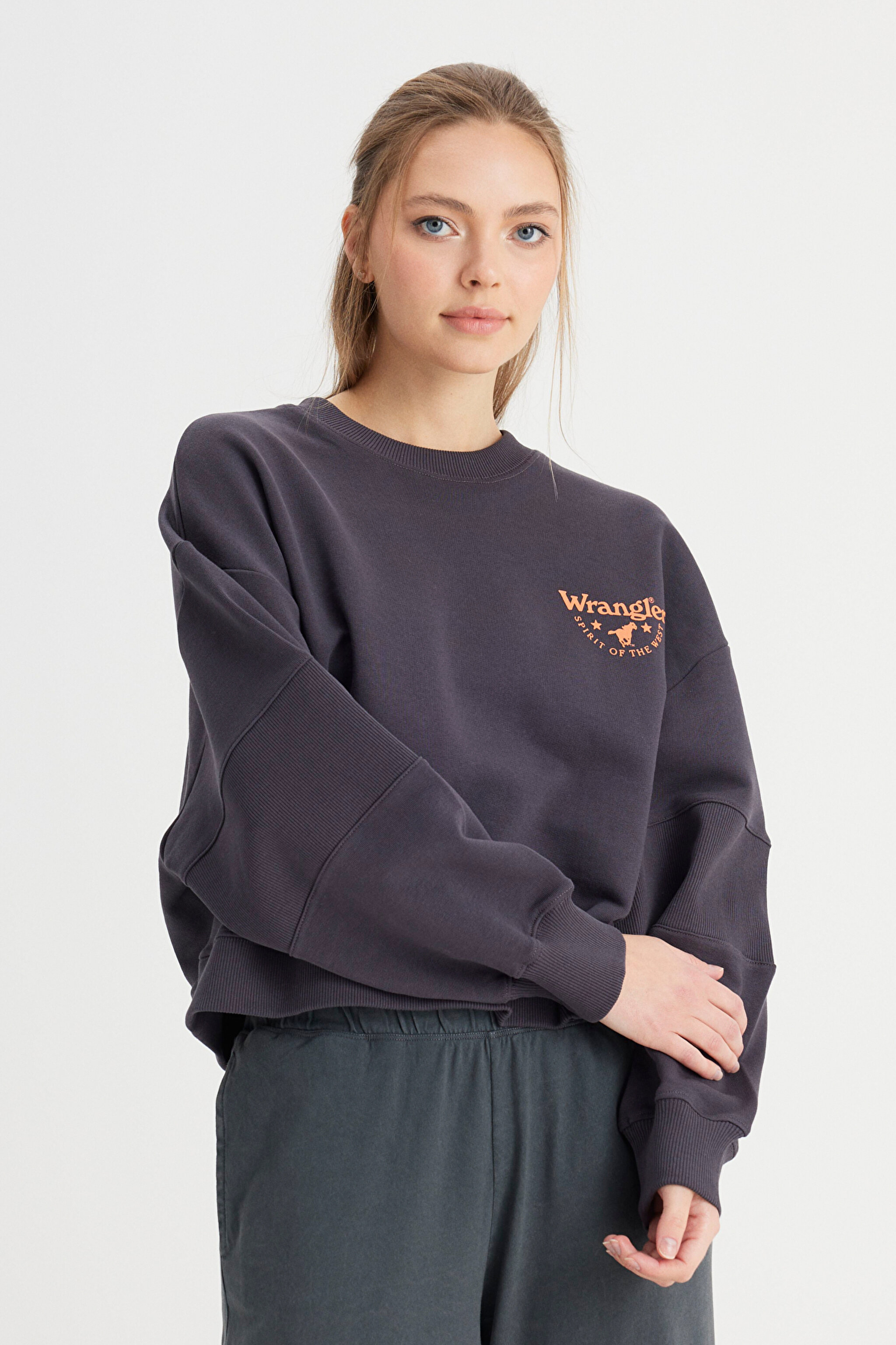 Relaxed Fit Geniş Kesim Bisiklet Yaka %100 Pamuk Siyah Sweatshirt - Faded Black-W24161433W