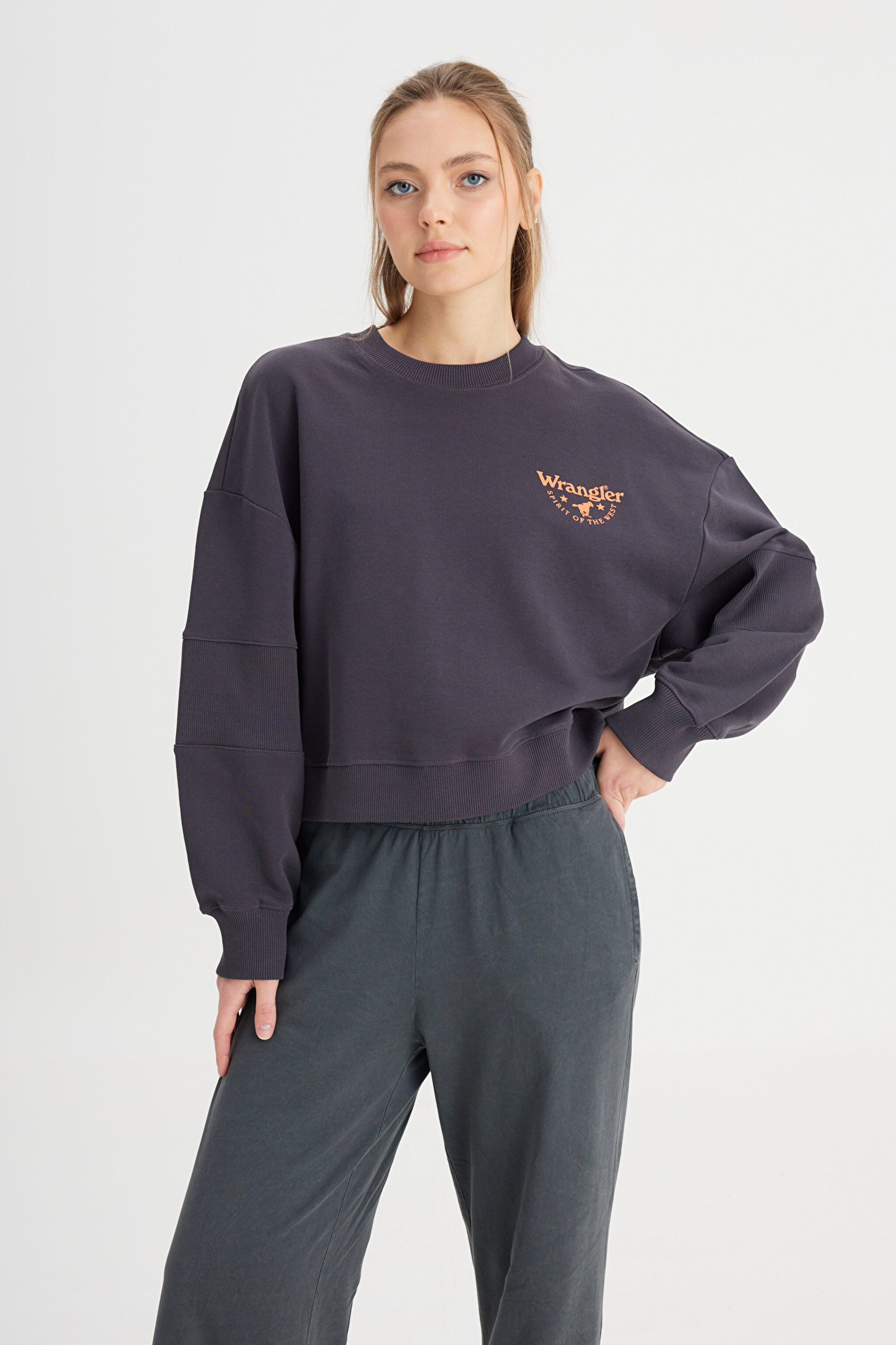 Relaxed Fit Geniş Kesim Bisiklet Yaka %100 Pamuk Siyah Sweatshirt - Faded Black-W24161433W (görsel 3)