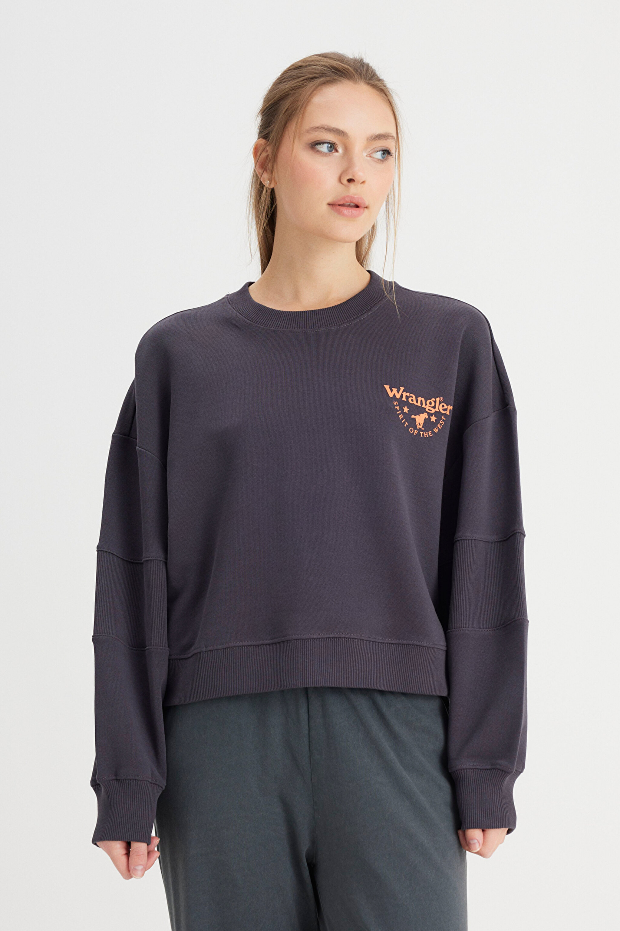 Relaxed Fit Geniş Kesim Bisiklet Yaka %100 Pamuk Siyah Sweatshirt - Faded Black-W24161433W (görsel 5)