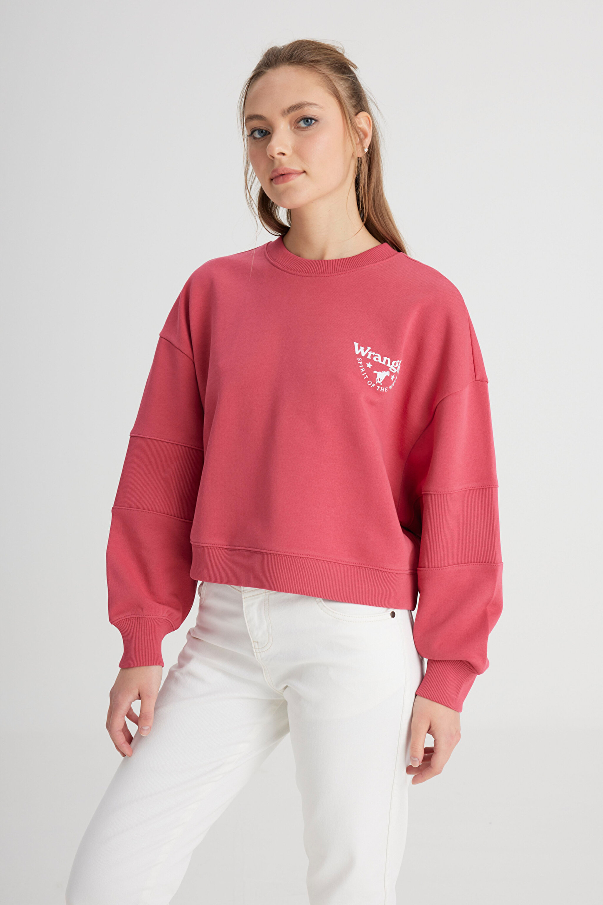 Relaxed Fit Geniş Kesim Bisiklet Yaka %100 Pamuk Bordo Sweatshirt - Wine-W241614810