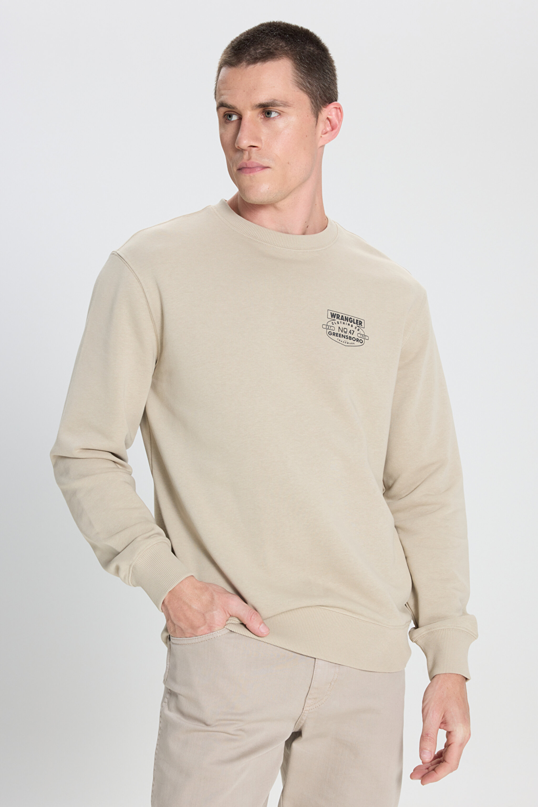 Regular Fit Normal Kesim Bisiklet Yaka Taş Rengi Sweatshirt - Stone-W242338013 (görsel 2)