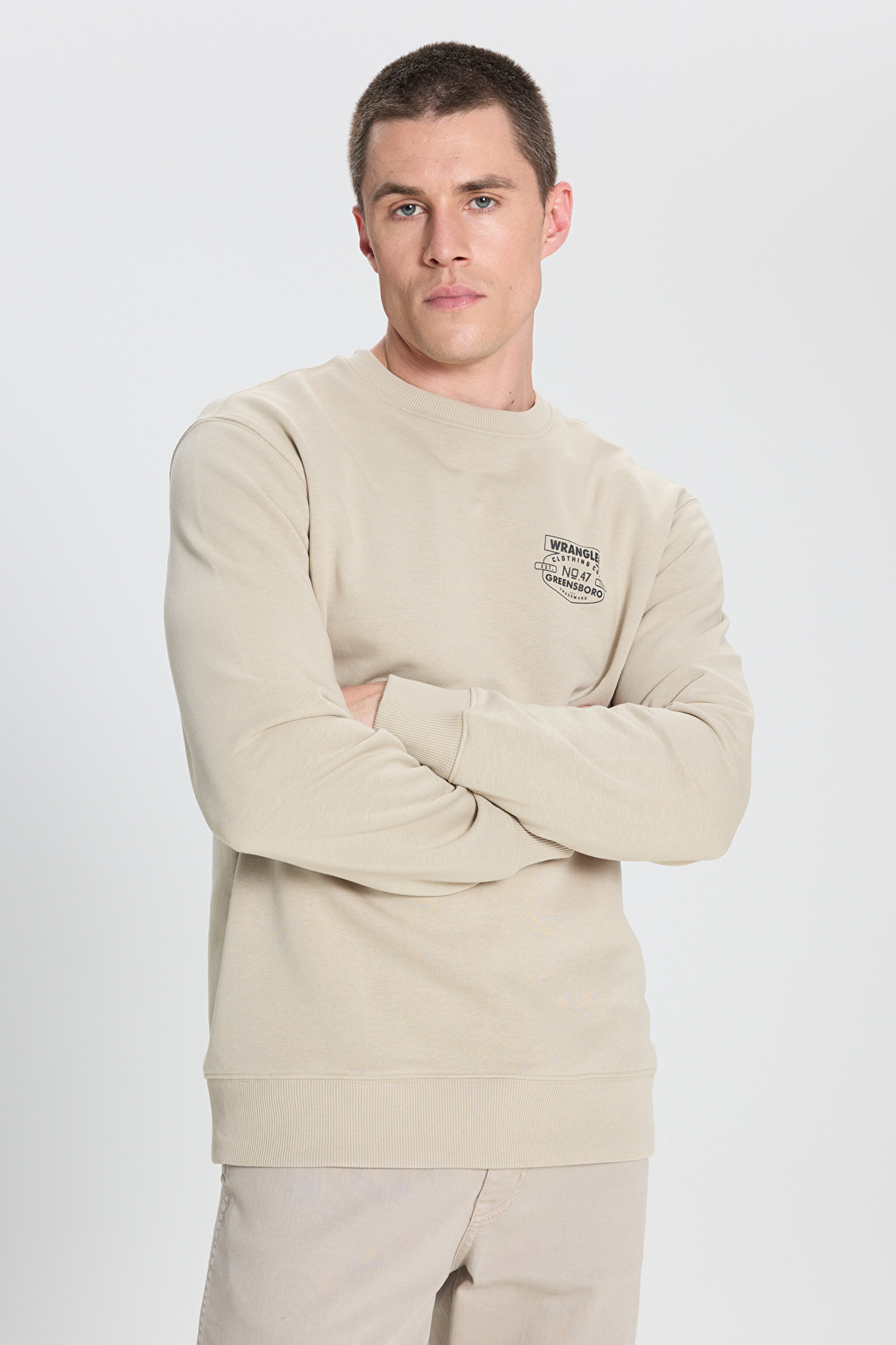 Regular Fit Normal Kesim Bisiklet Yaka Taş Rengi Sweatshirt - Stone-W242338013 (görsel 4)