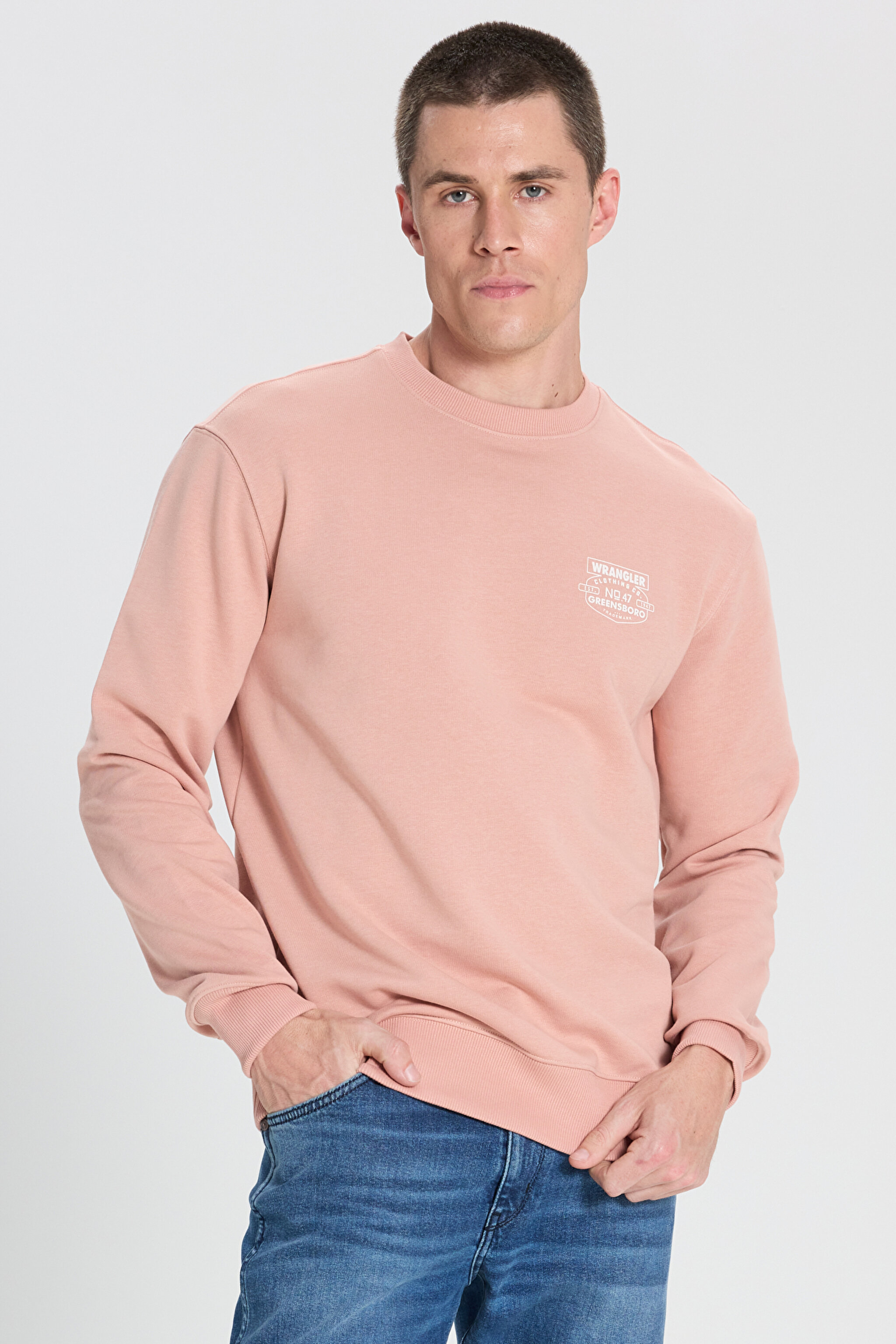 Regular Fit Normal Kesim Bisiklet Yaka Pembe Sweatshirt - Dusty Pink-W242338613