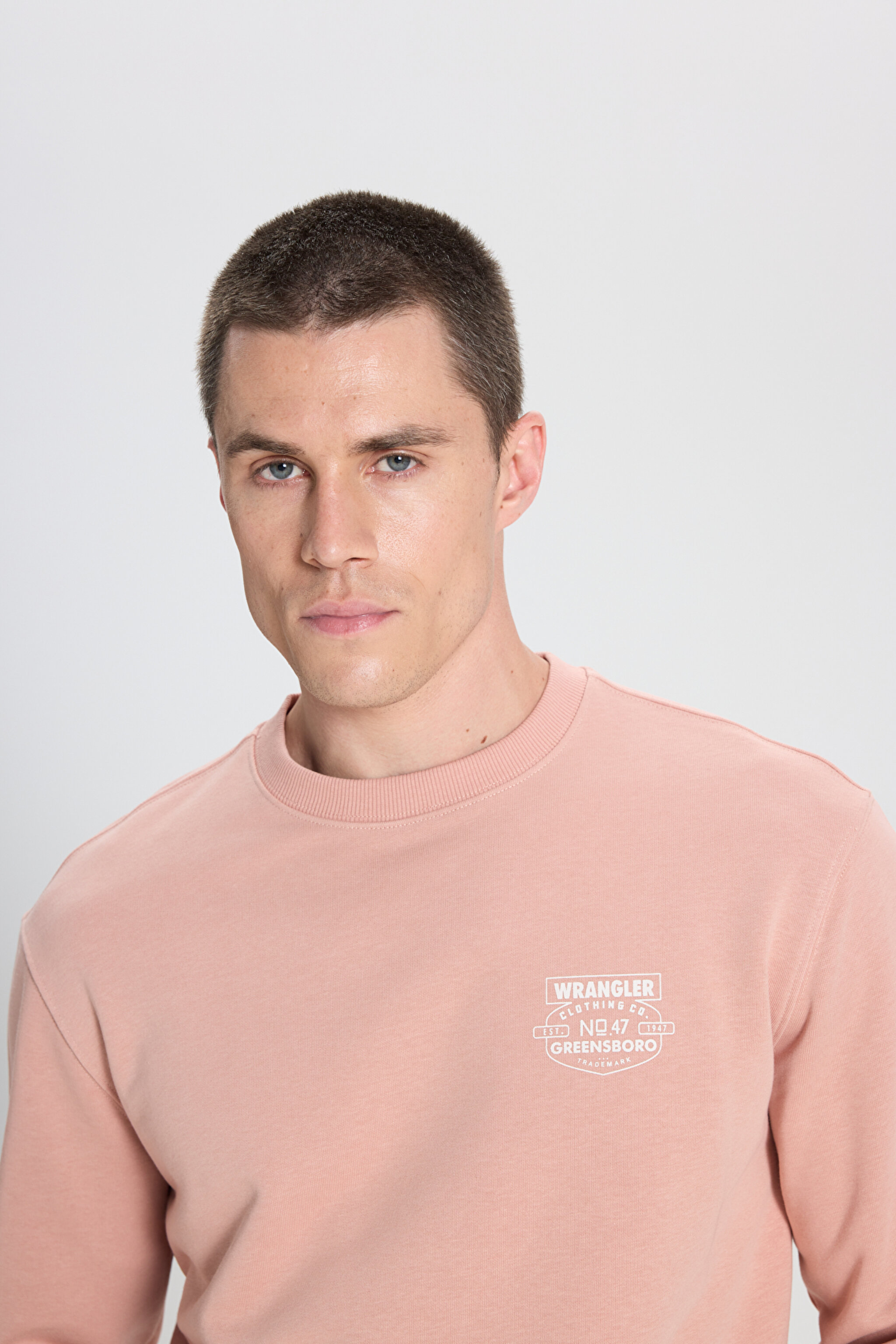 Regular Fit Normal Kesim Bisiklet Yaka Pembe Sweatshirt - Dusty Pink-W242338613 (görsel 4)