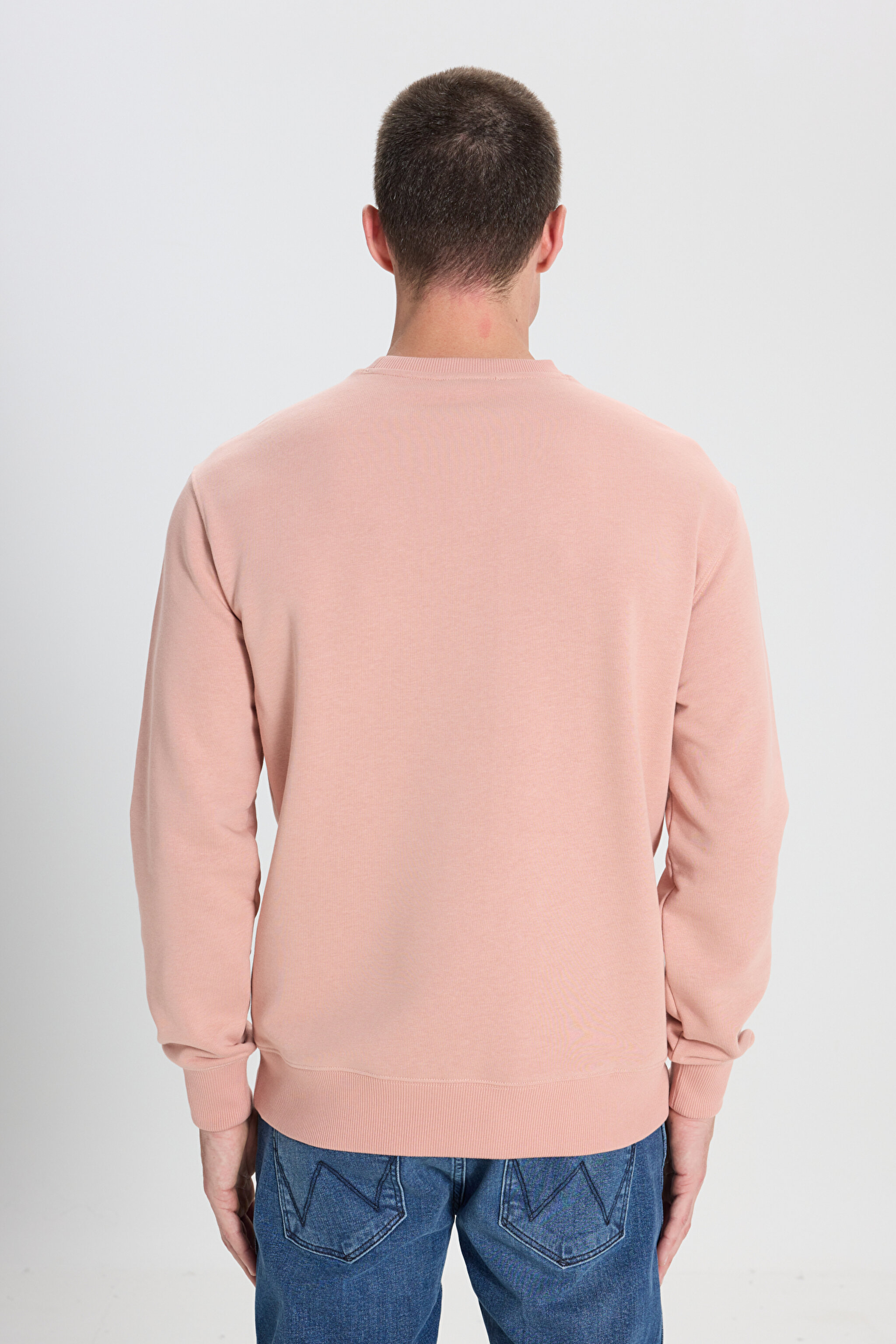 Regular Fit Normal Kesim Bisiklet Yaka Pembe Sweatshirt - Dusty Pink-W242338613 (görsel 5)