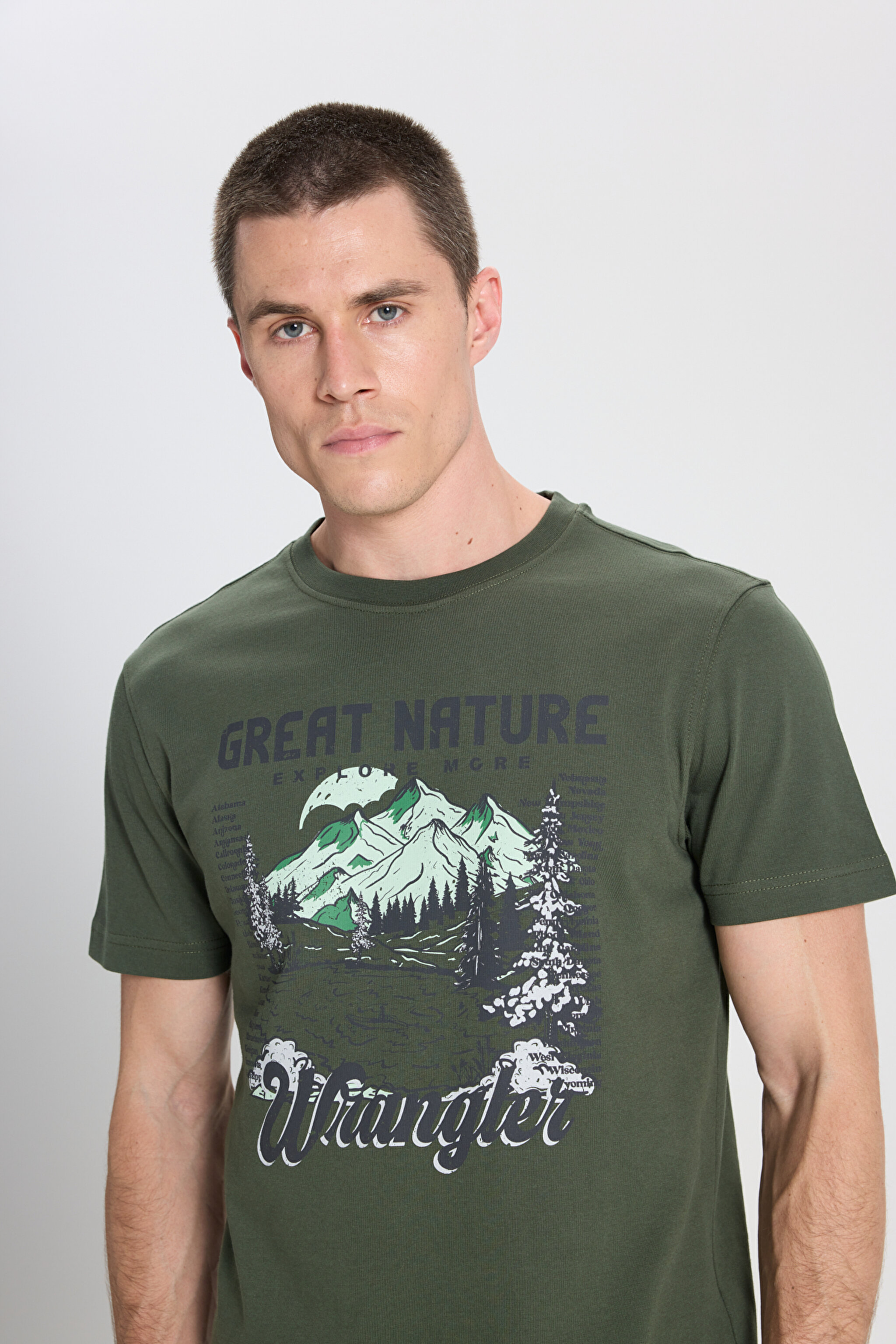 Regular Fit Normal Kesim Bisiklet Yaka %100 Pamuk Haki Tişört - Khaki-W242437801 (görsel 4)