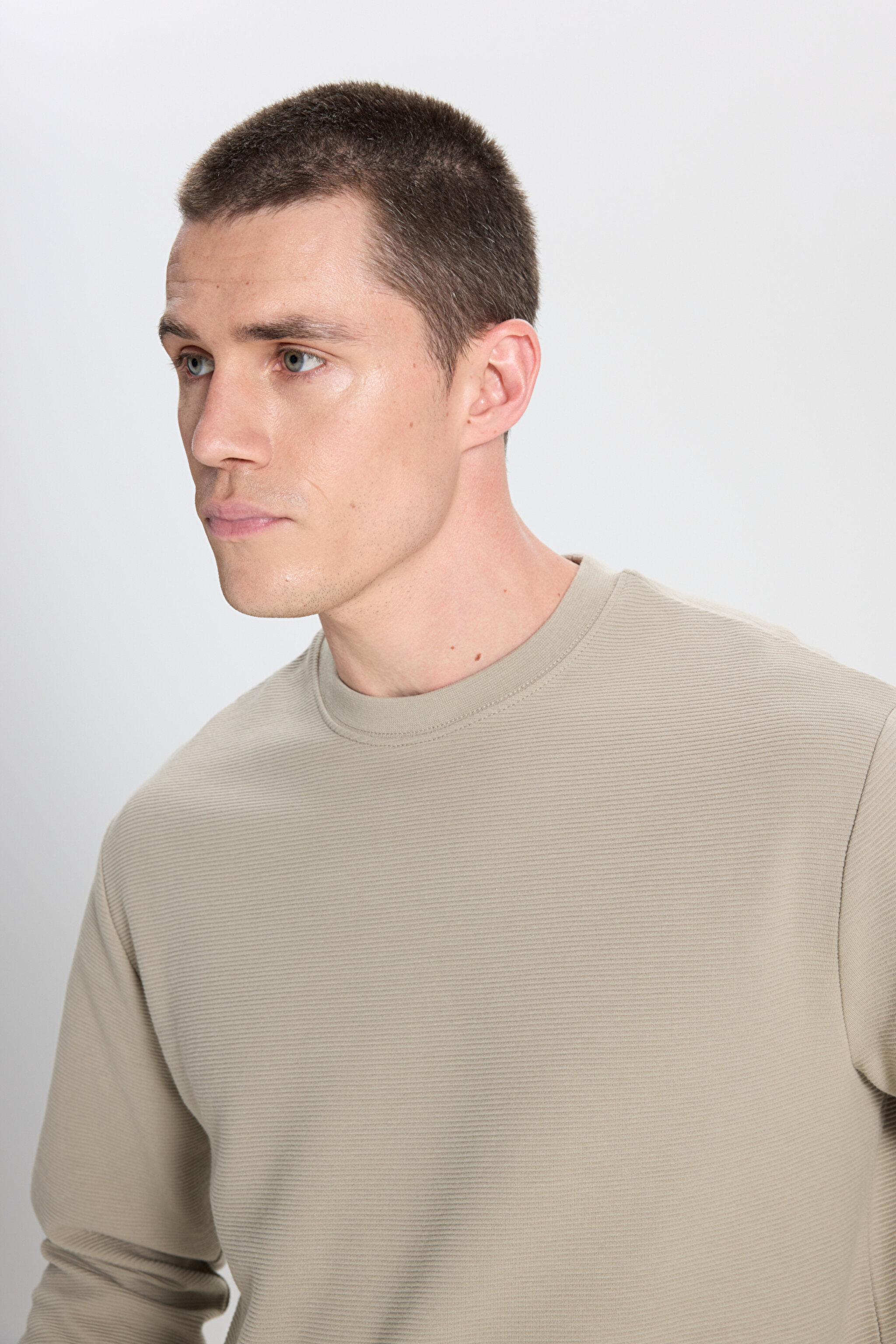 Regular Fit Normal Kesim Bisiklet Yaka %100 Pamuk Açık Yeşil Sweatshirt - Dahlia-W242501299 (görsel 3)