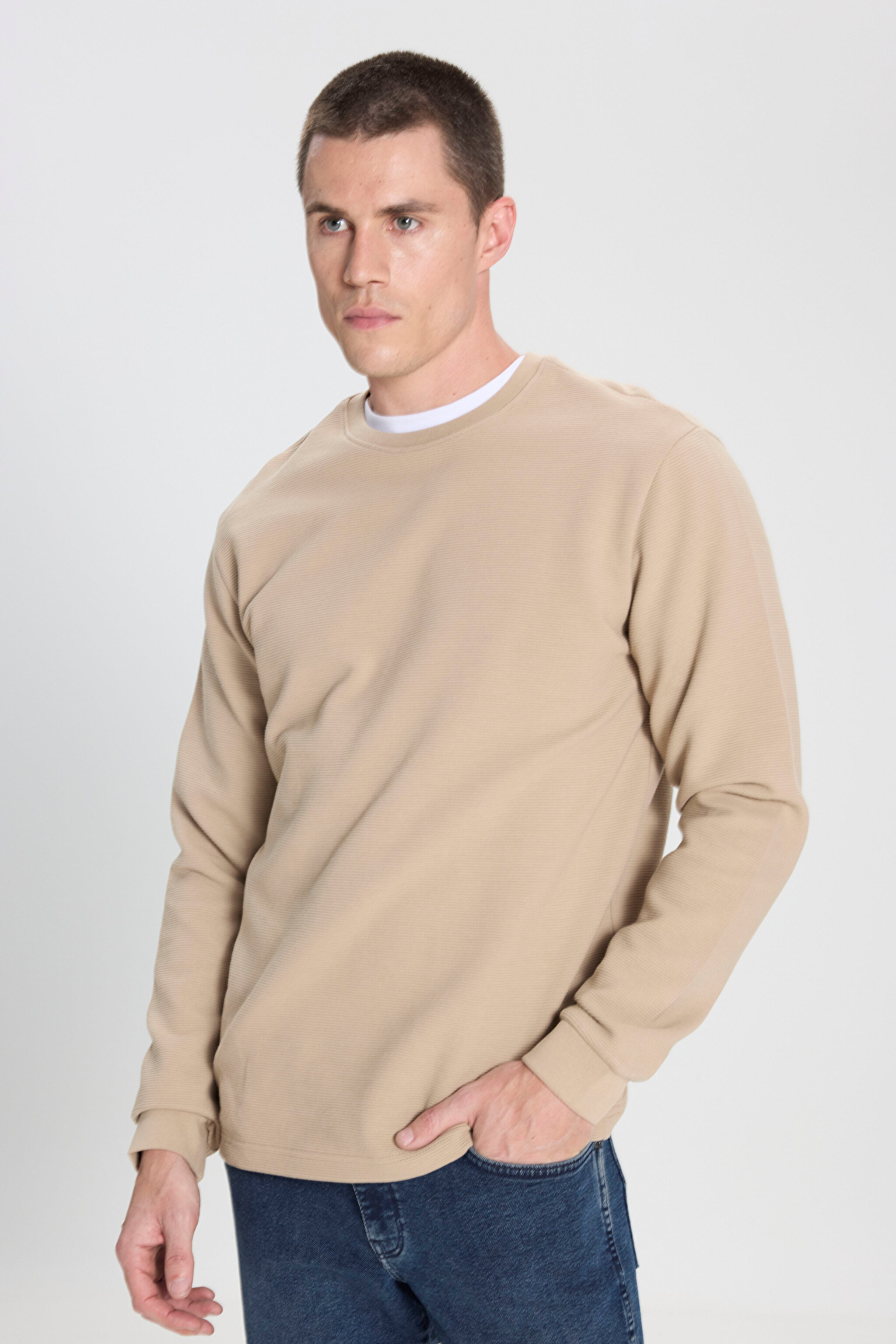 Regular Fit Normal Kesim Bisiklet Yaka %100 Pamuk Bej Sweatshirt - Beige-W242501614 (görsel 2)