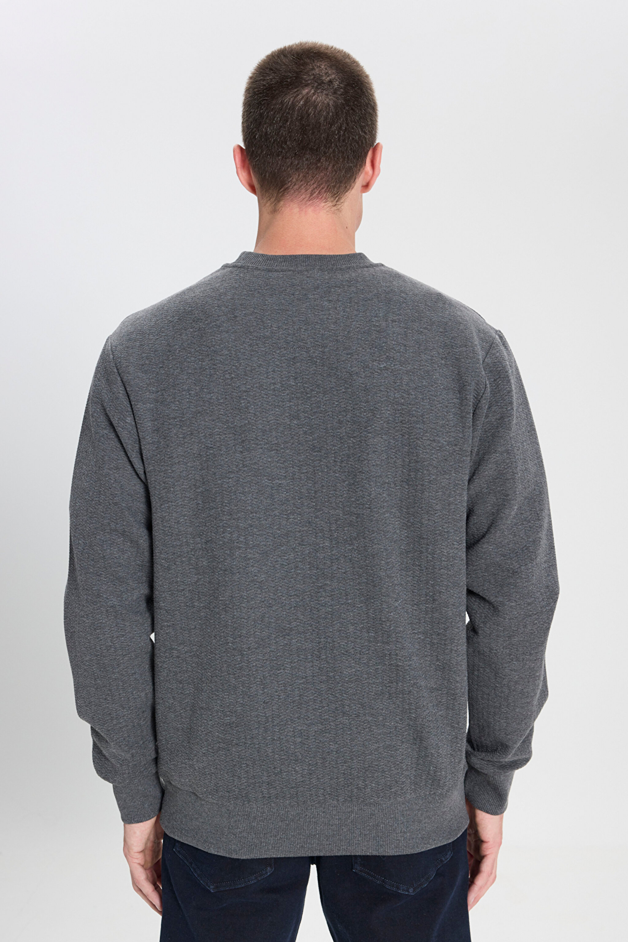 Regular Fit Normal Kesim Bisiklet Yaka Antrasit Sweatshirt - Anthracite-W242593003 (görsel 5)
