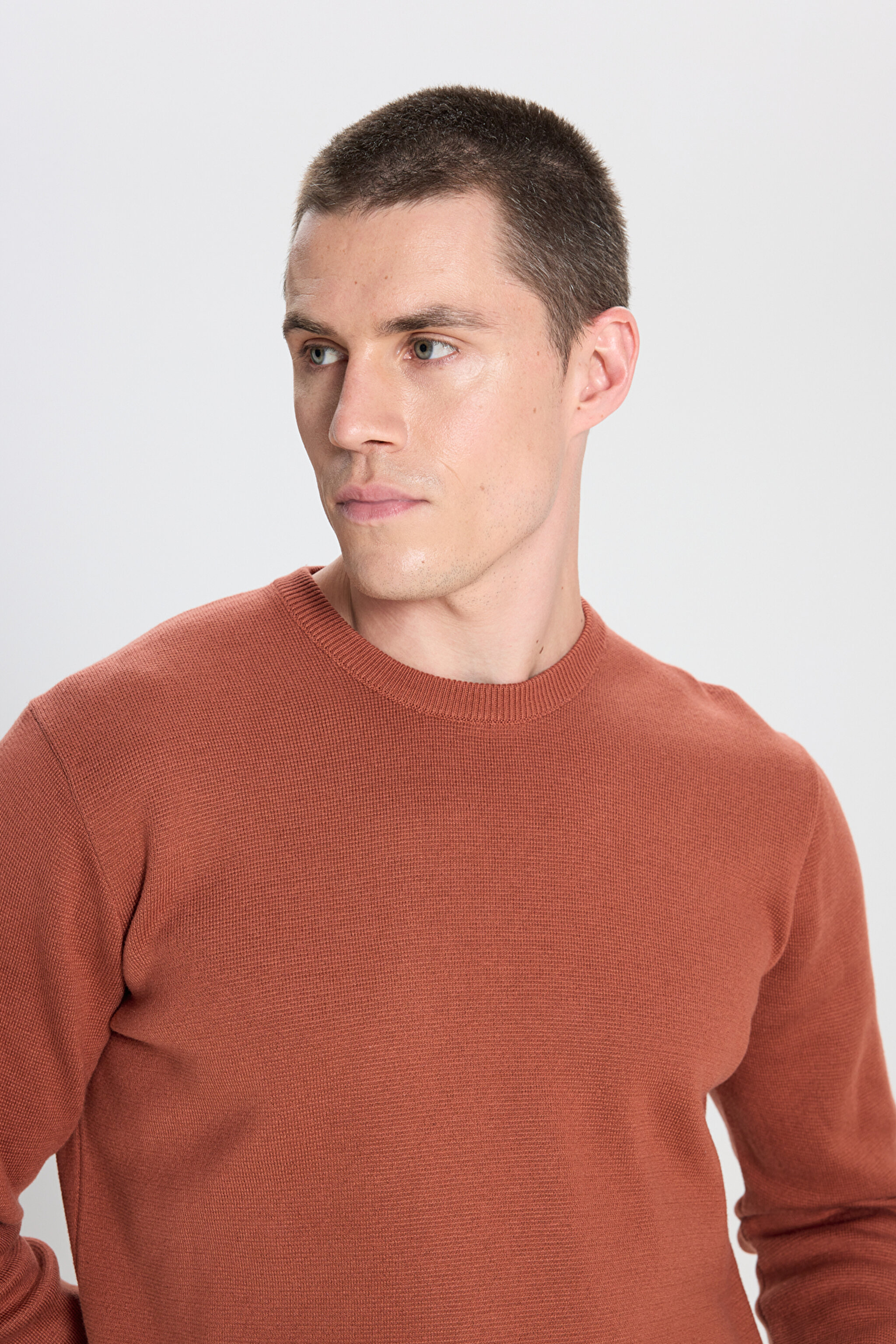 Regular Fit Normal Kesim Kahverengi Triko Kazak - Brown-W242724220 (görsel 4)