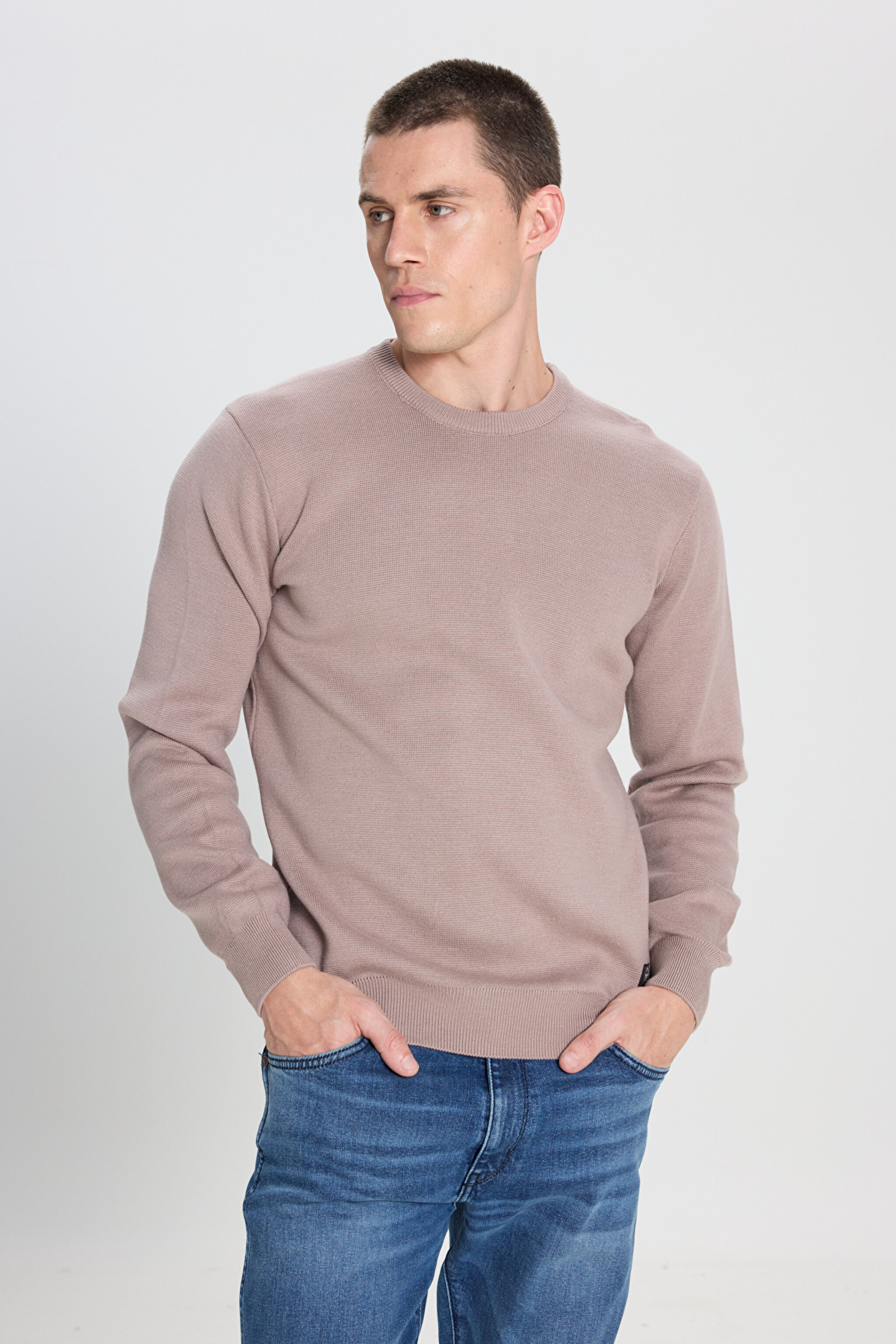 Regular Fit Normal Kesim Bisiklet Yaka Vizon Triko Kazak