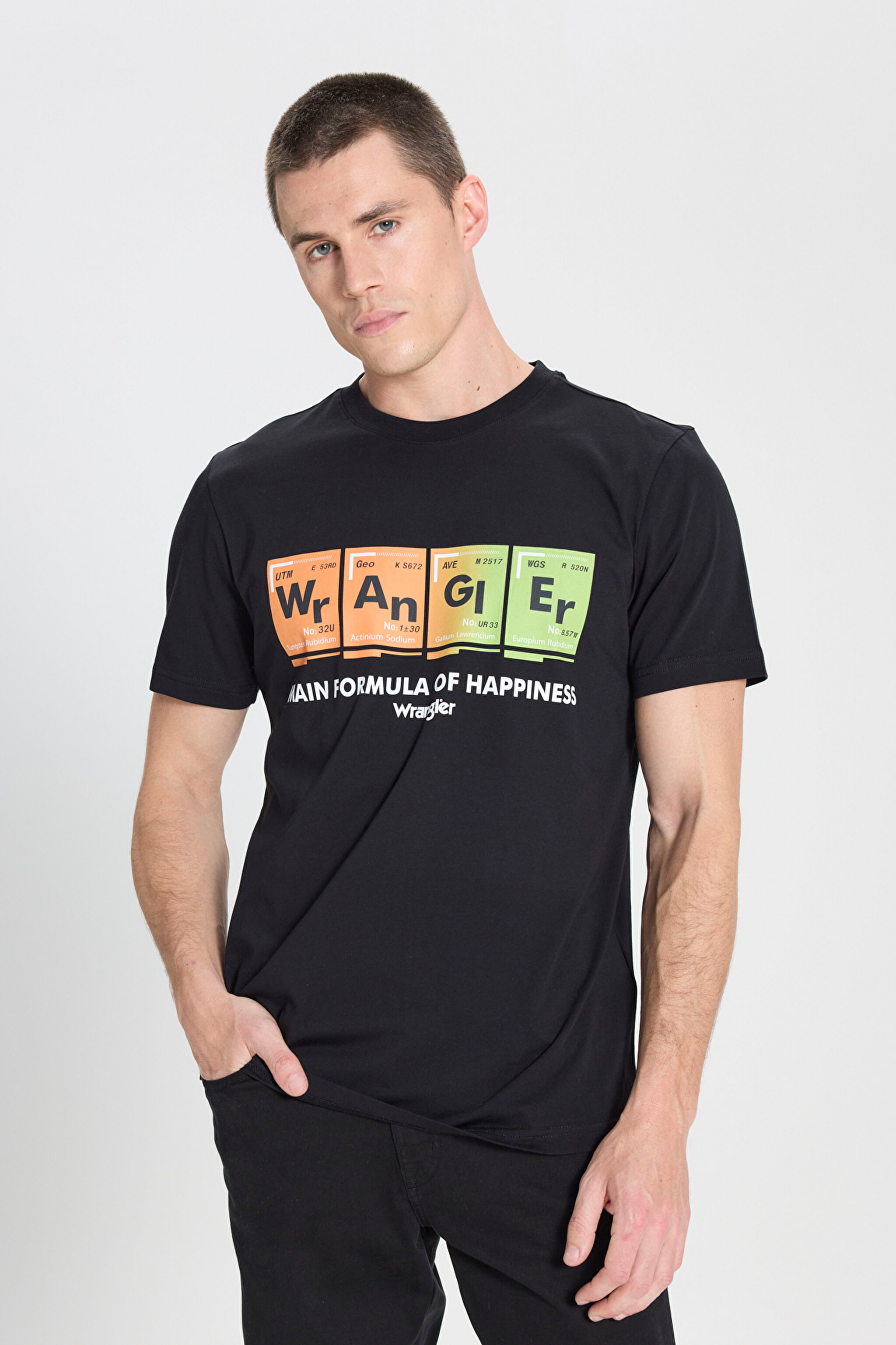 Regular Fit Normal Kesim Bisiklet Yaka Siyah Tişört - Black-W242773001 (görsel 2)