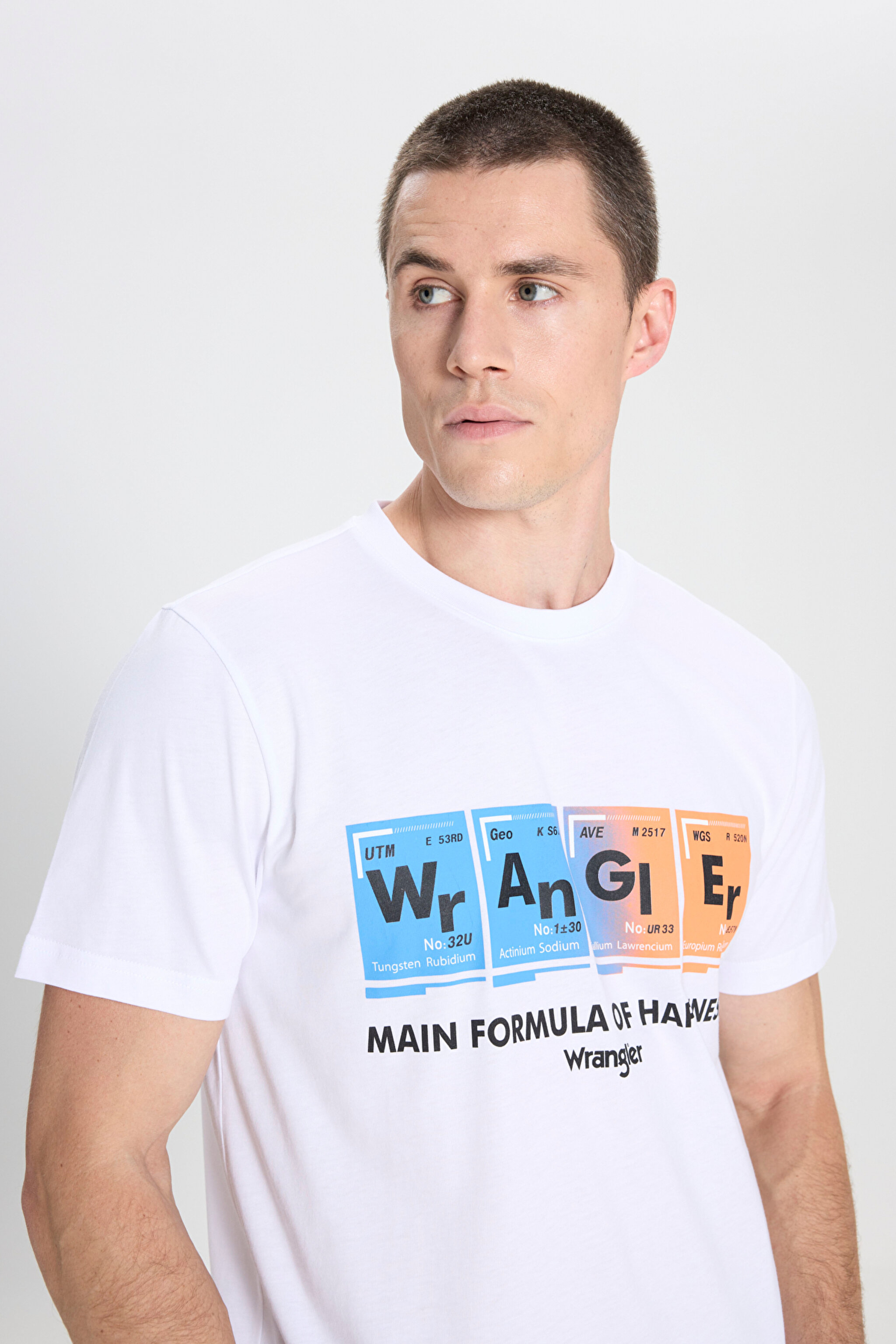 Regular Fit Normal Kesim Bisiklet Yaka Beyaz Tişört - White-W242773100 (görsel 4)