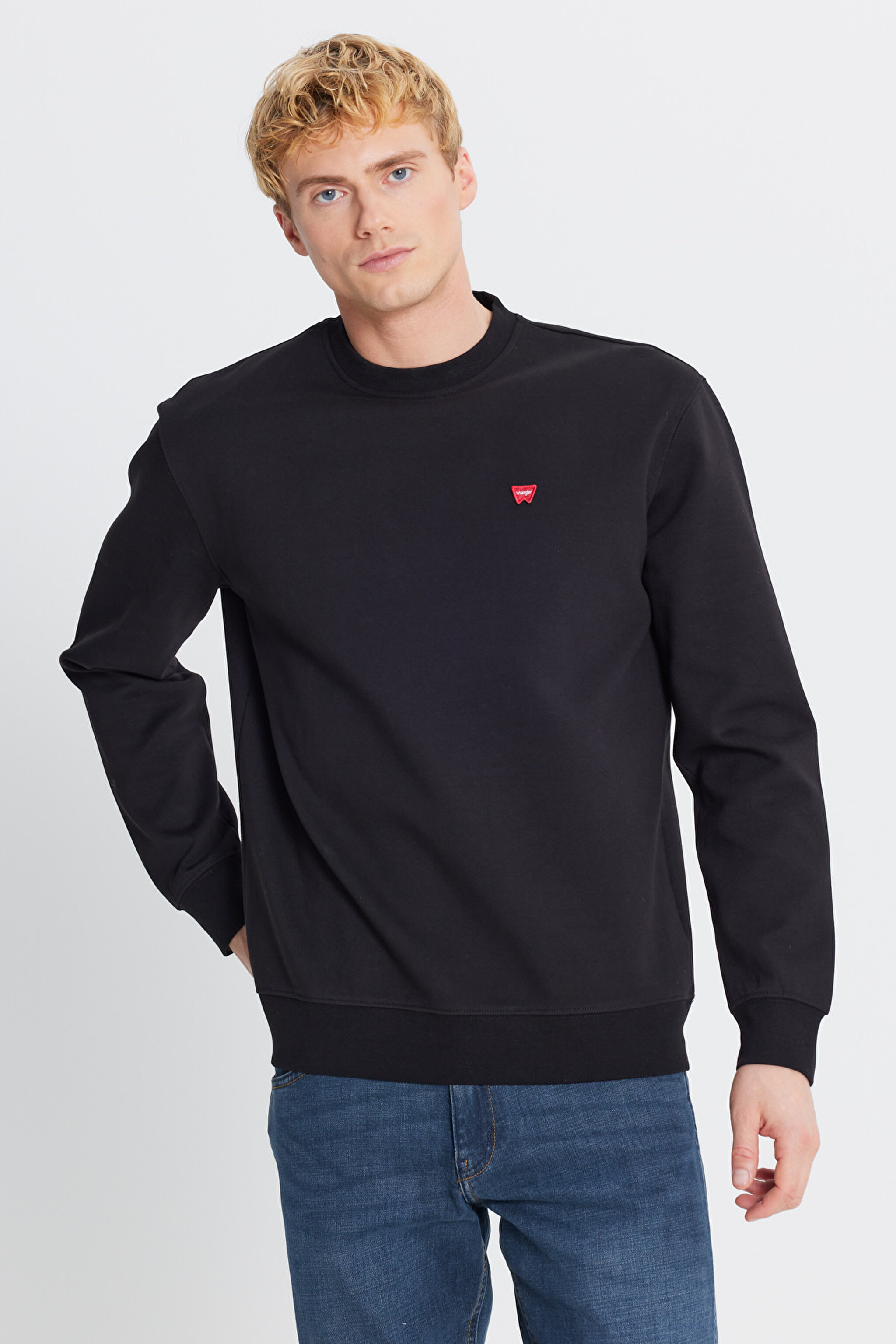Regular Fit Normal Kesim Bisiklet Yaka Pamuklu Siyah  Sweatshirt