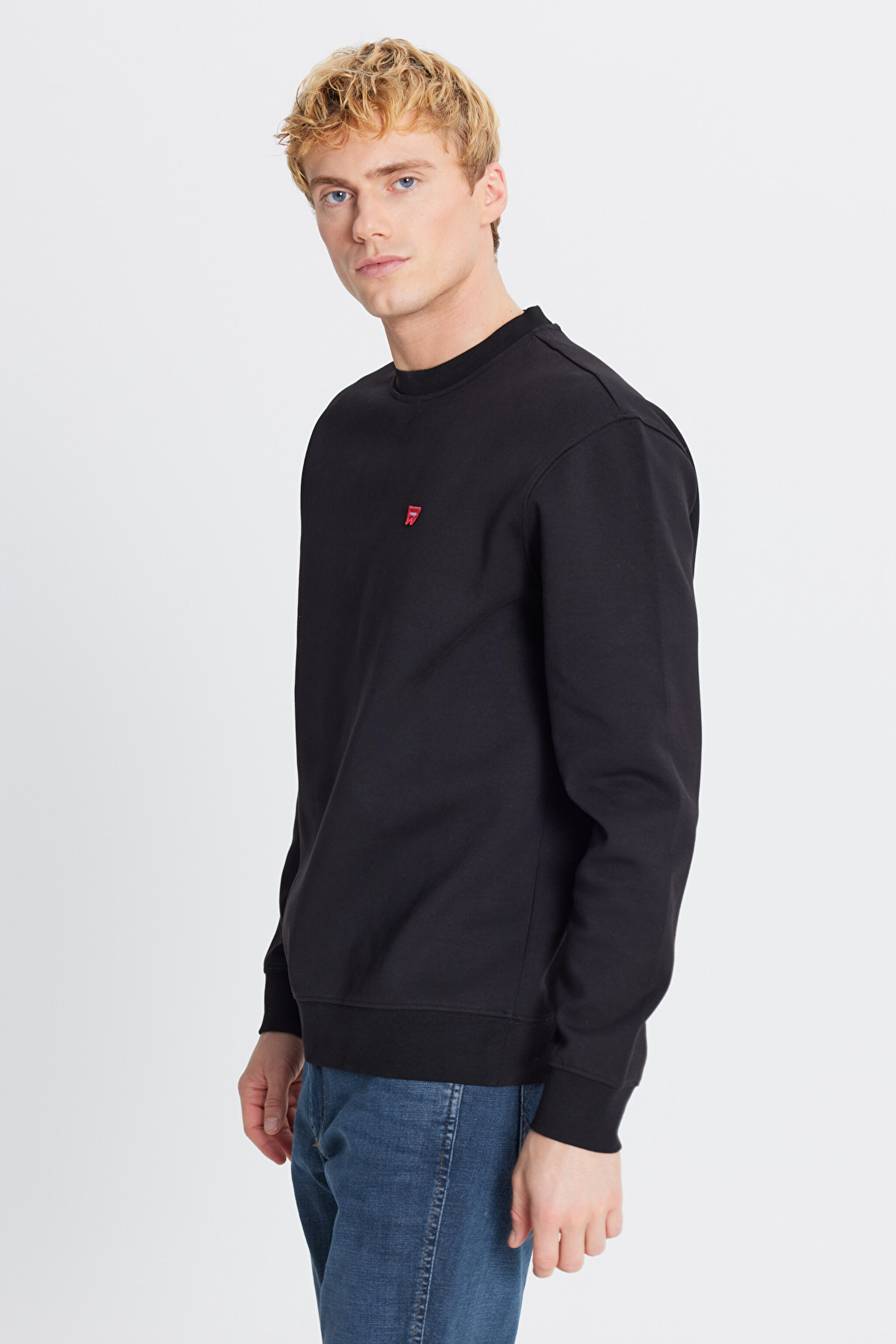 Regular Fit Normal Kesim Bisiklet Yaka Pamuklu Siyah  Sweatshirt - Black-W242792001 (görsel 3)