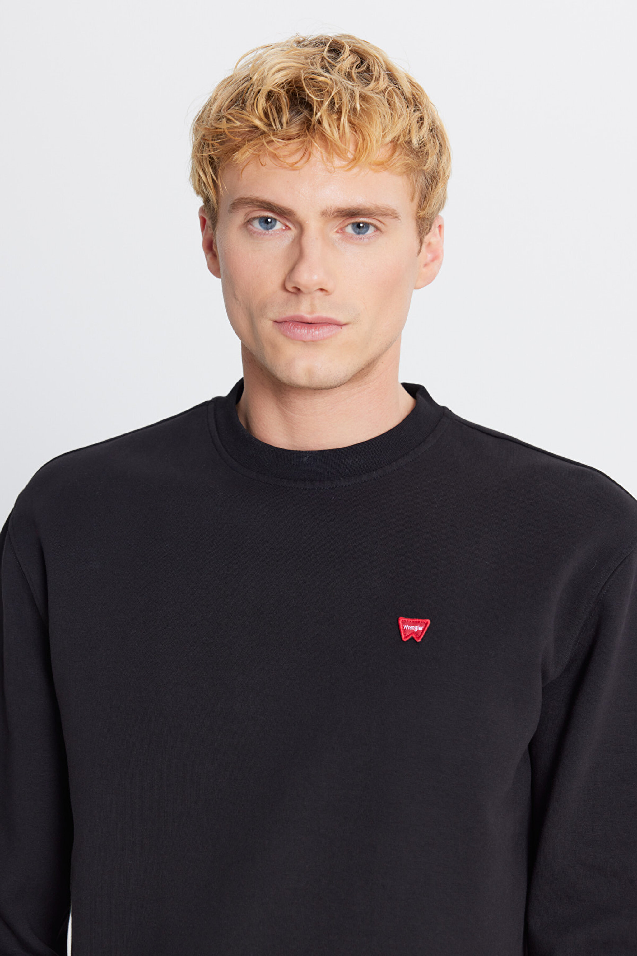 Regular Fit Normal Kesim Bisiklet Yaka Pamuklu Siyah  Sweatshirt - Black-W242792001 (görsel 4)