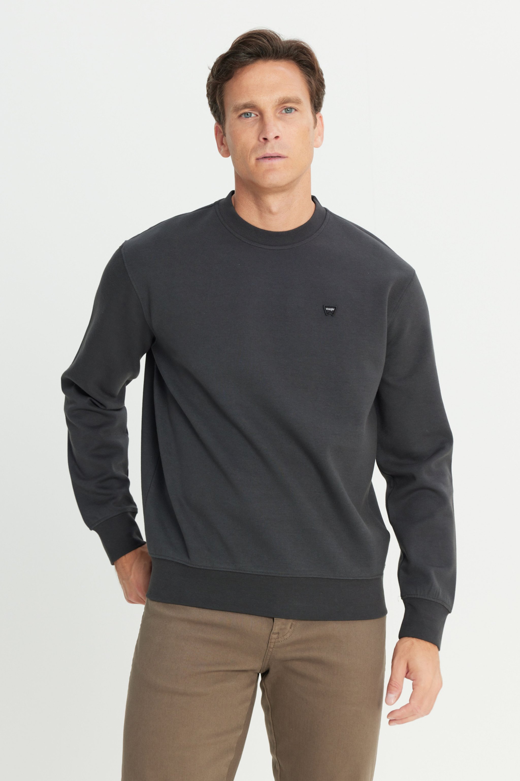 Regular Fit Normal Kesim Bisiklet Yaka Antrasit Sweatshirt - Faded Black-W24279233W