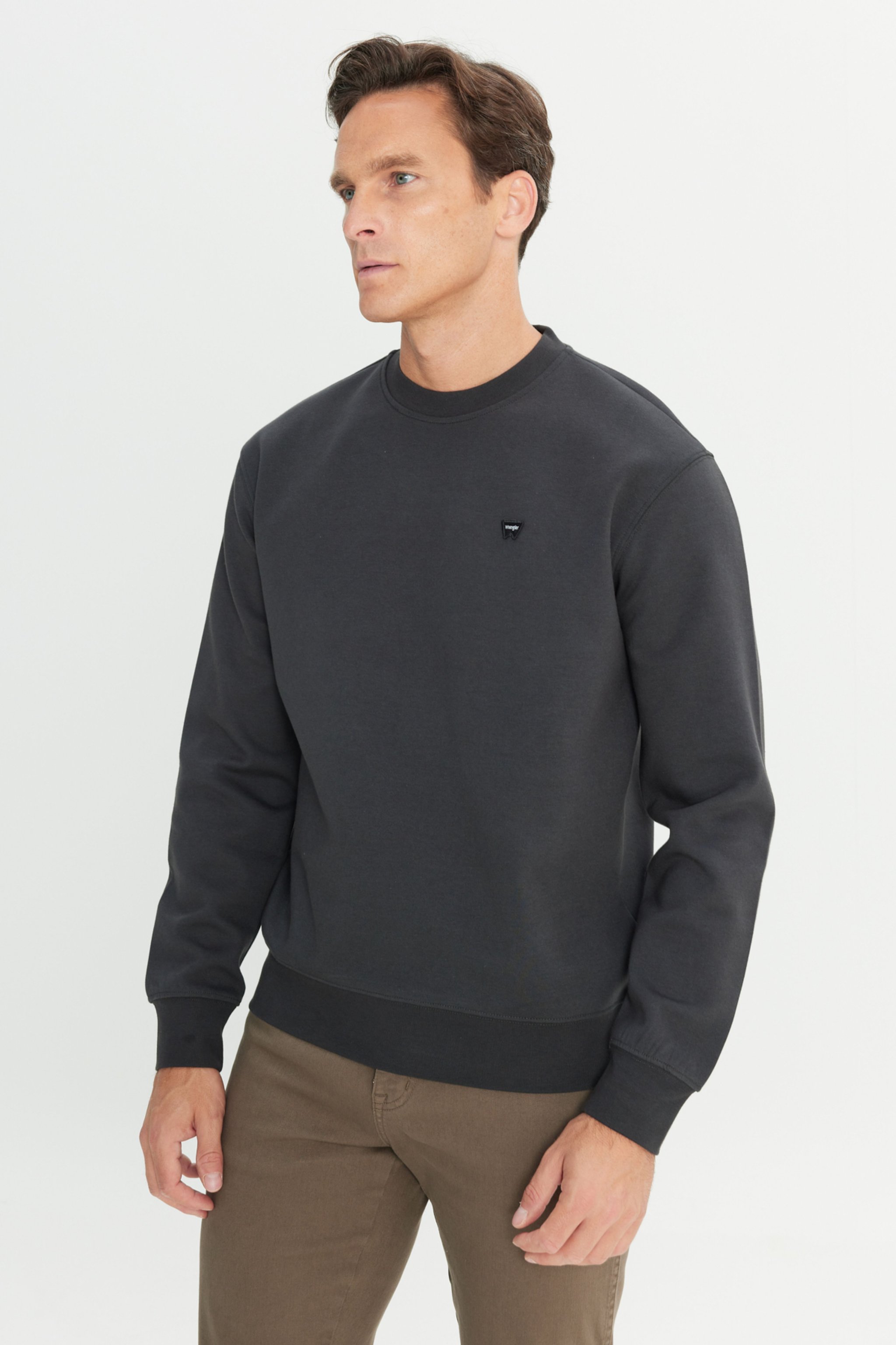 Regular Fit Normal Kesim Bisiklet Yaka Antrasit Sweatshirt - Faded Black-W24279233W (görsel 4)