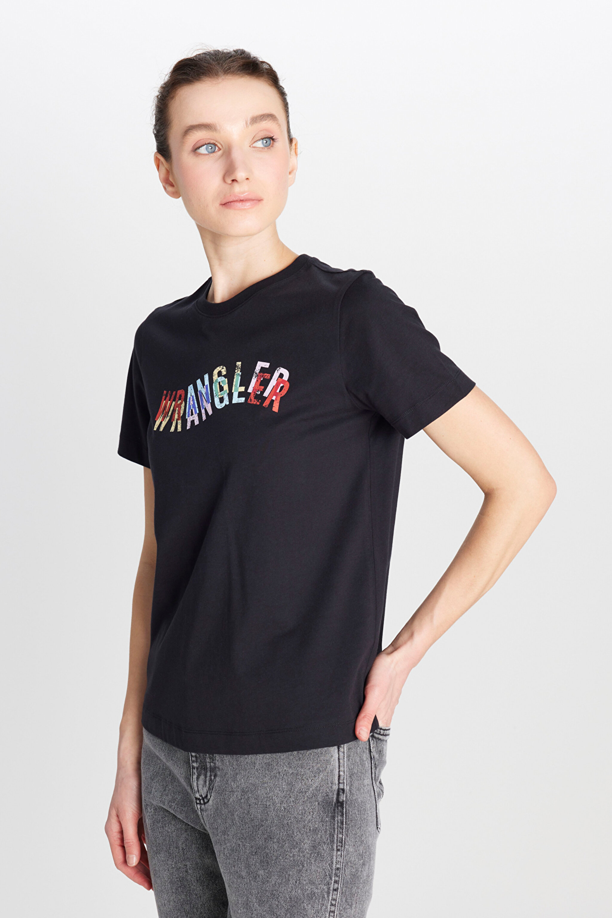 %100 Pamuk Regular Fit Normal Kesim Bisiklet Yaka Siyah Tişört - Black-W2510174001 (görsel 2)