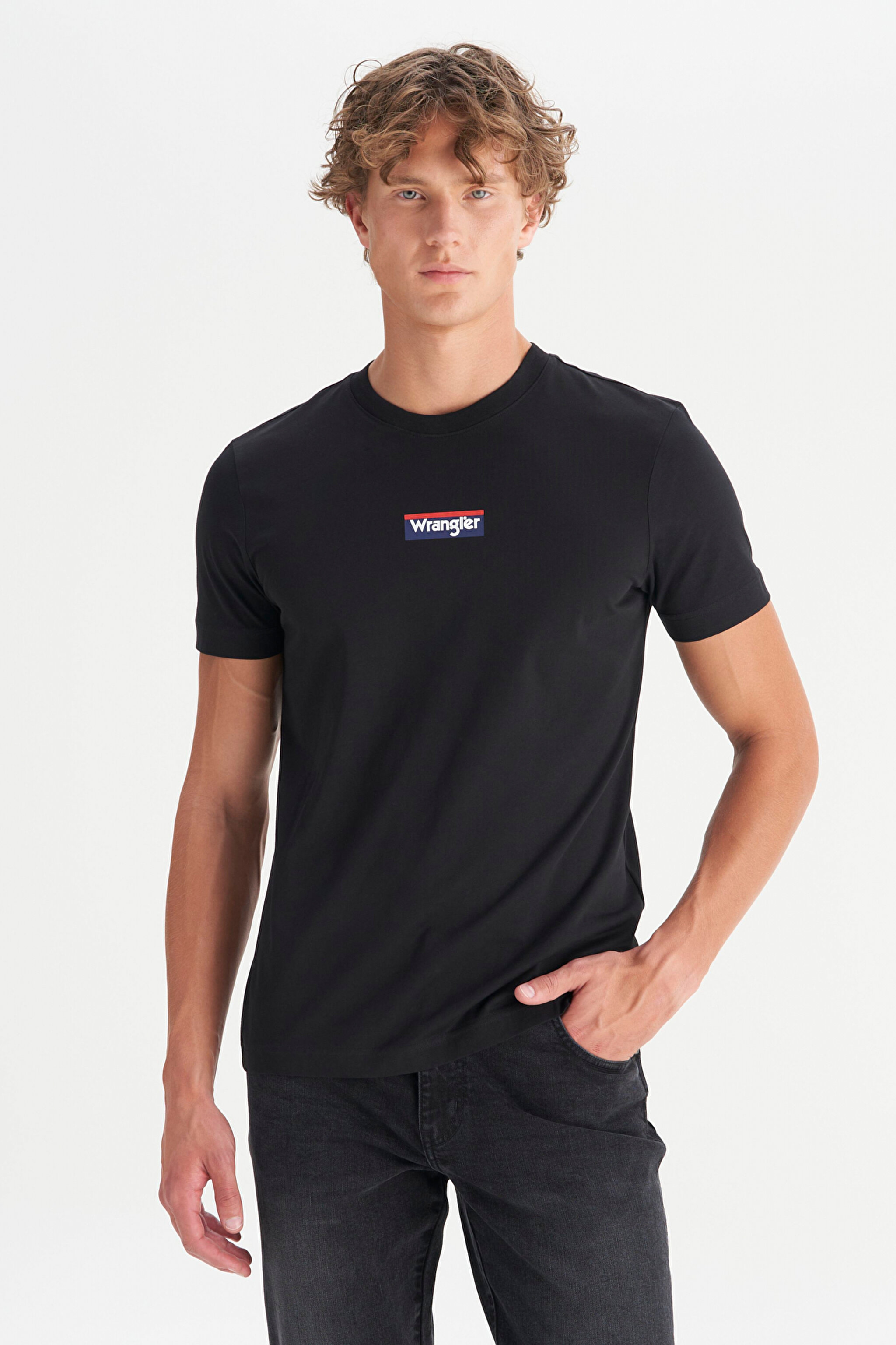 %100 Pamuk Regular Fit Normal Kesim Siyah Minimal Logo Tişört - Black-W2510527001