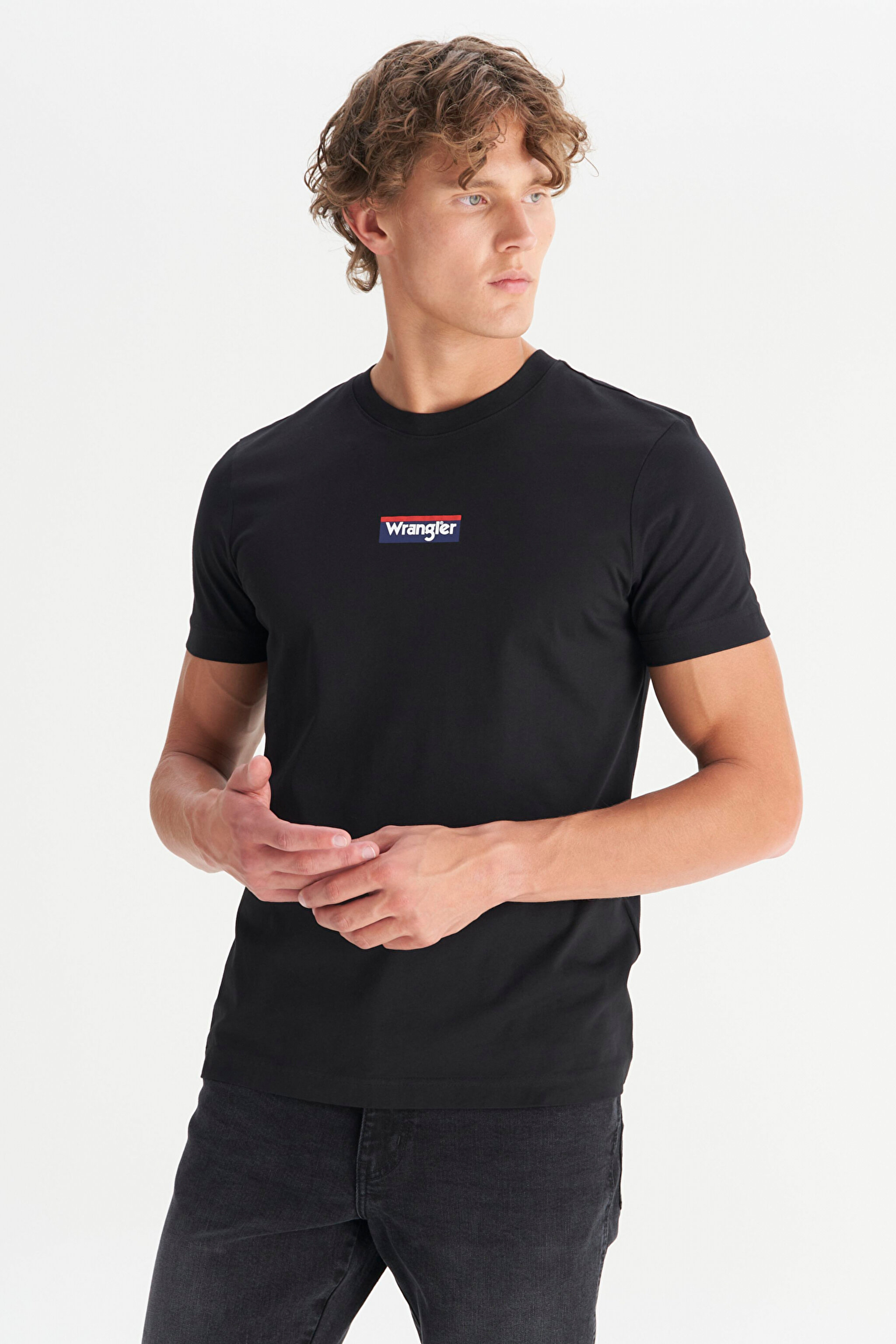%100 Pamuk Regular Fit Normal Kesim Siyah Minimal Logo Tişört - Black-W2510527001 (görsel 3)