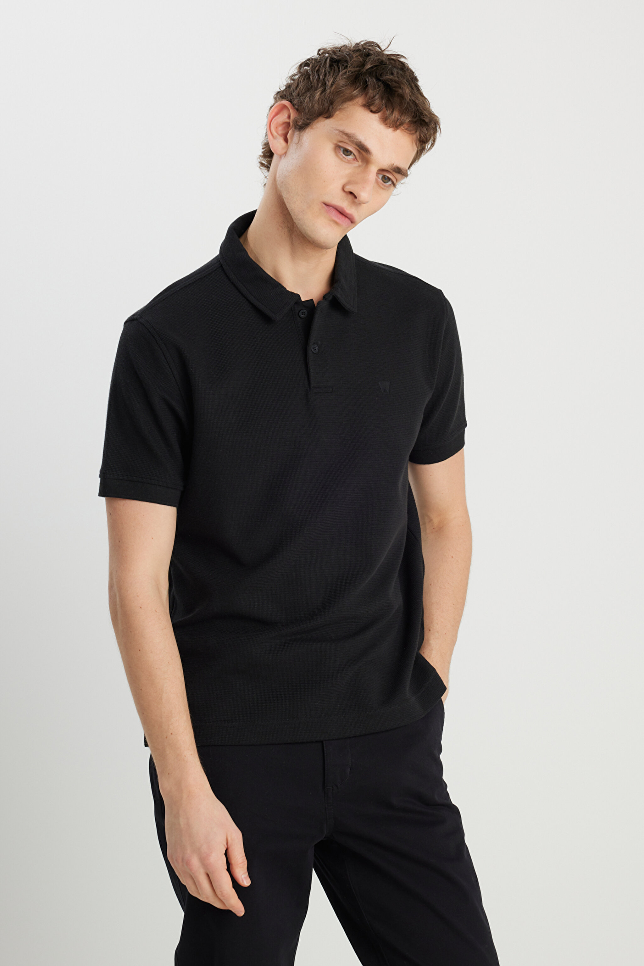Regular Fit Normal Kesim Siyah Polo Yaka Tişört