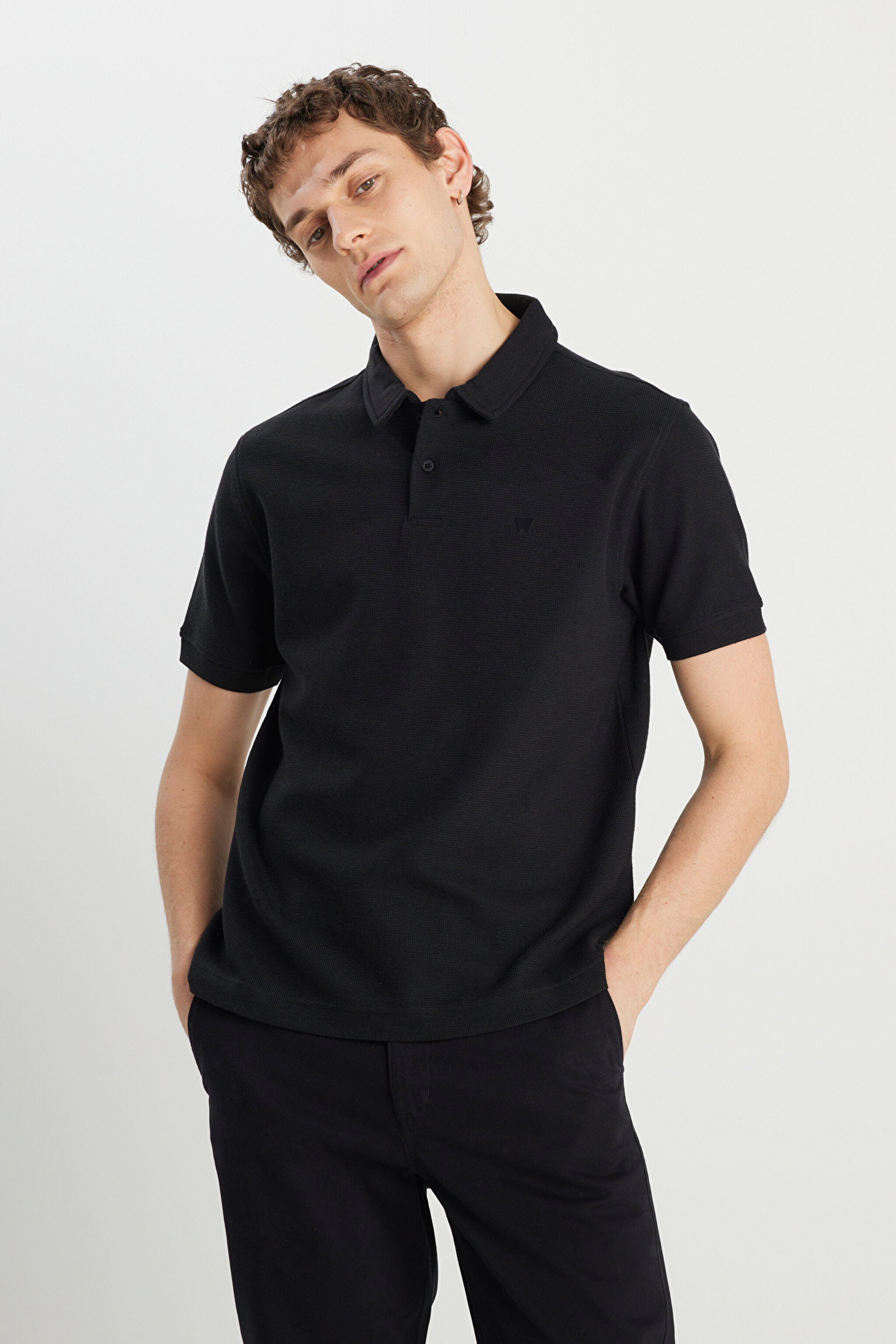 Regular Fit Normal Kesim Siyah Polo Yaka Tişört - Black-W2510720001 (görsel 2)